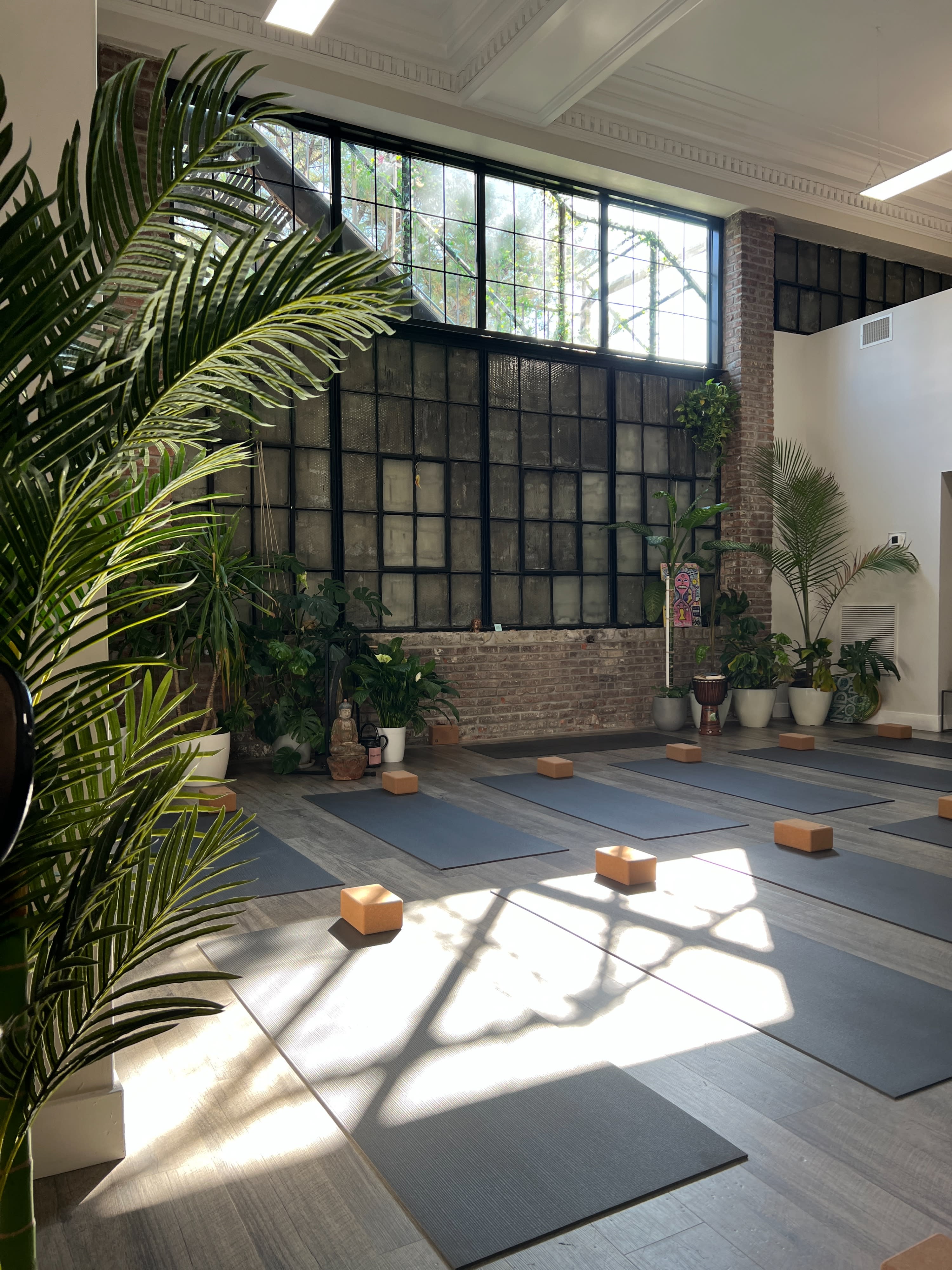 Authentic Yoga Studio in the Heart of a Greenpoint, Brooklyn, NY, Production