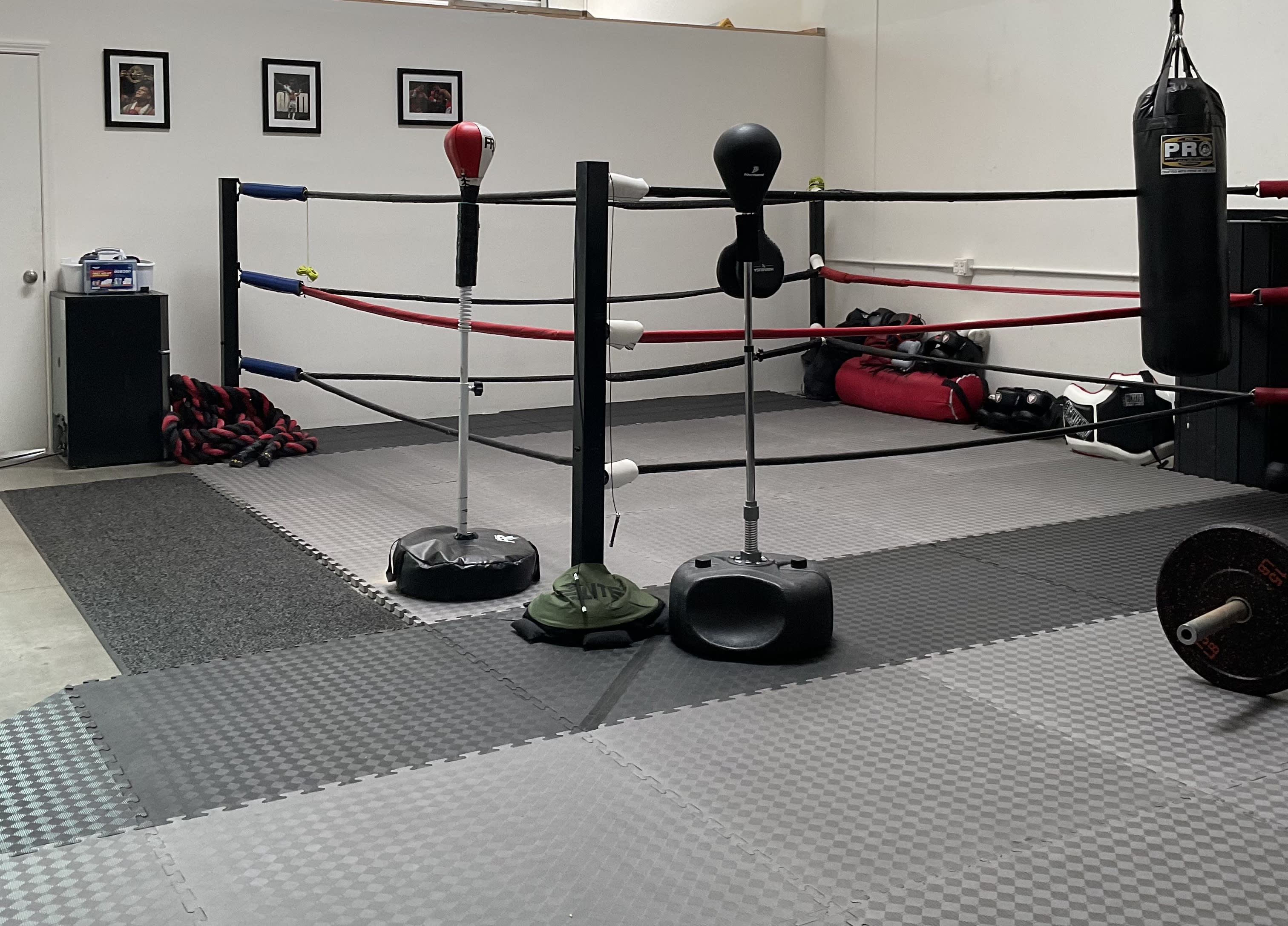 Home Boxing Gym Setup