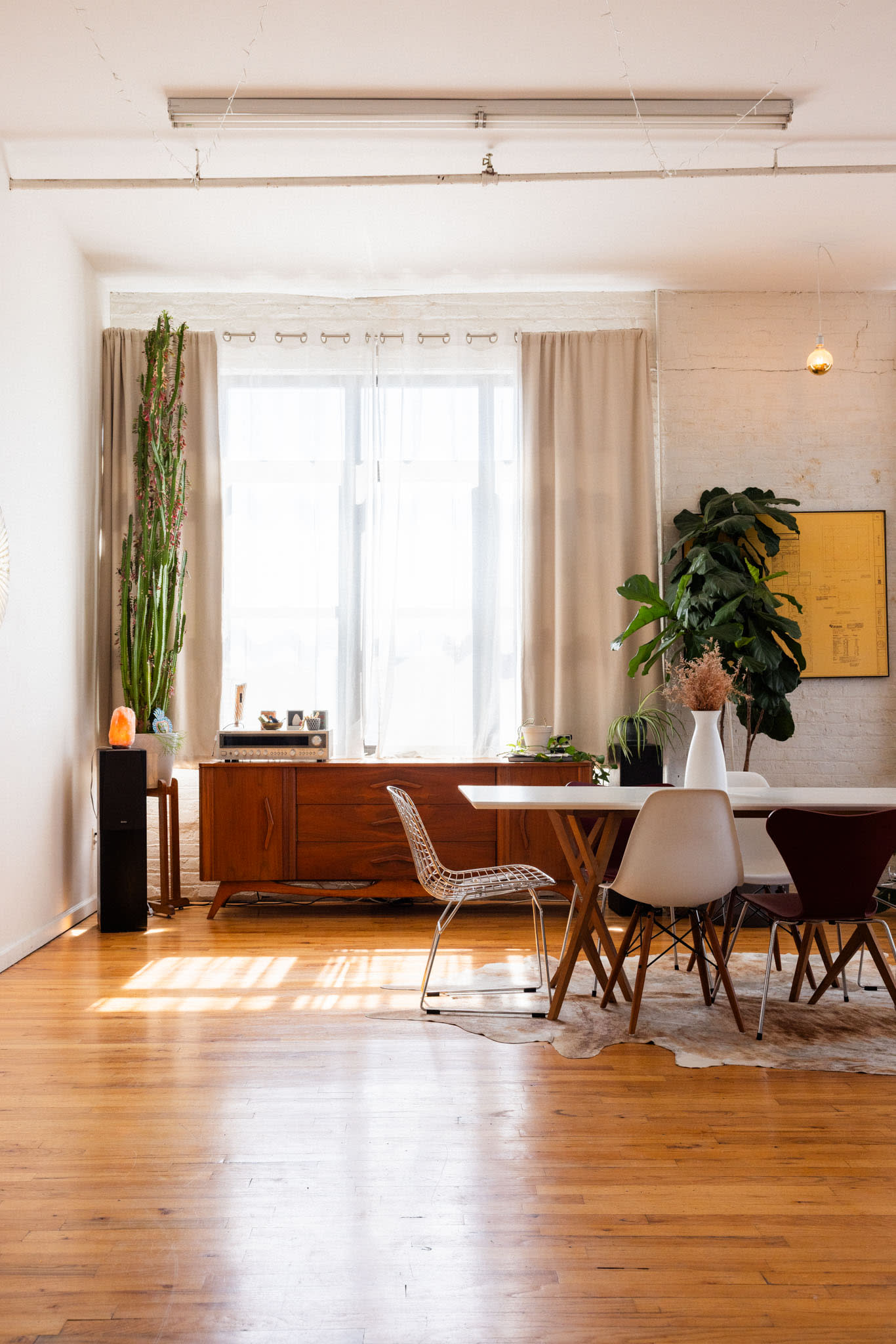 A well-lit living room features a dining table surrounded by colorful chairs, a sofa, and various plants, creating a cozy setting for a photoshoot.