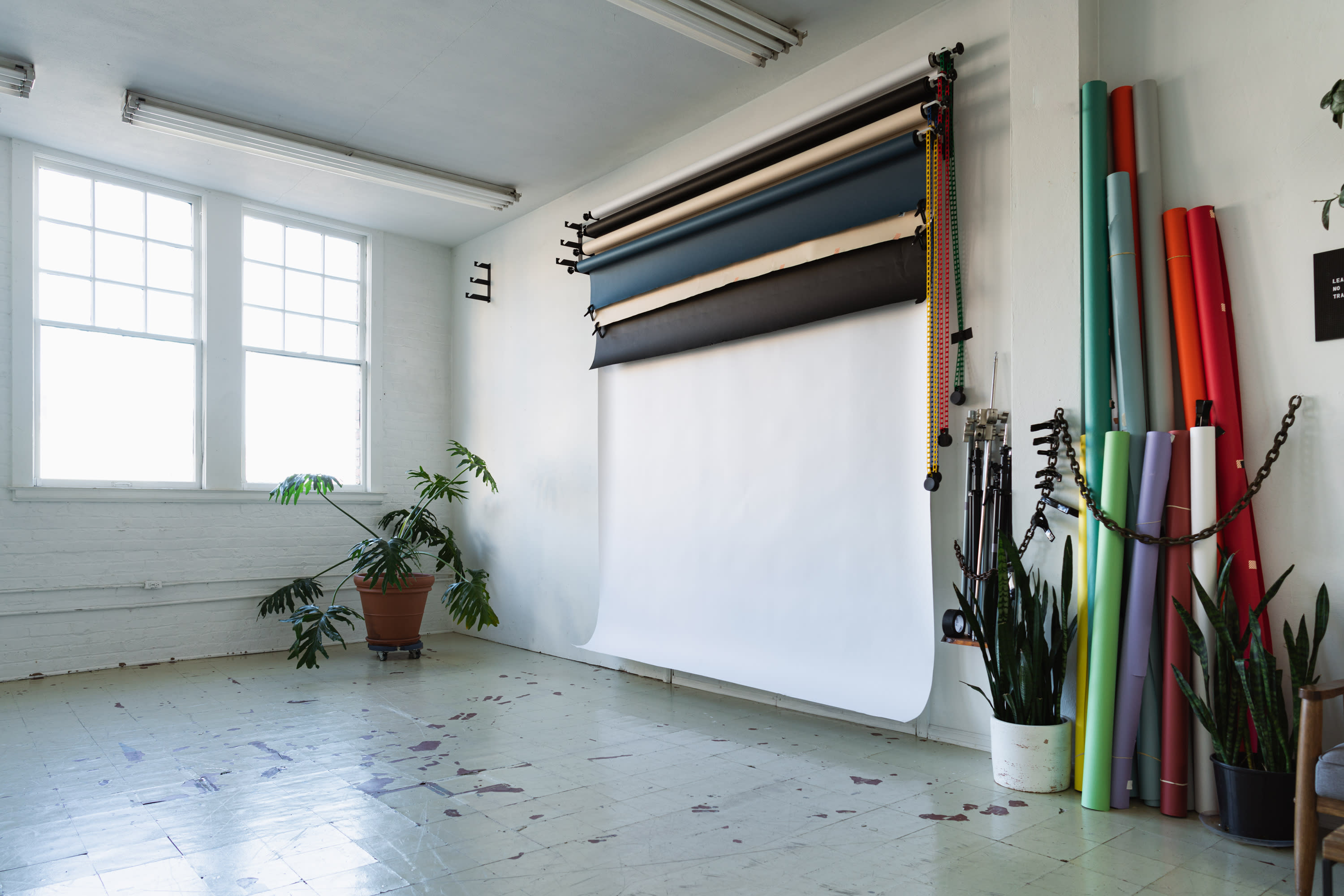 A photo shoot setup features a green backdrop, softbox lighting, and plants arranged on a patterned rug in a spacious studio.