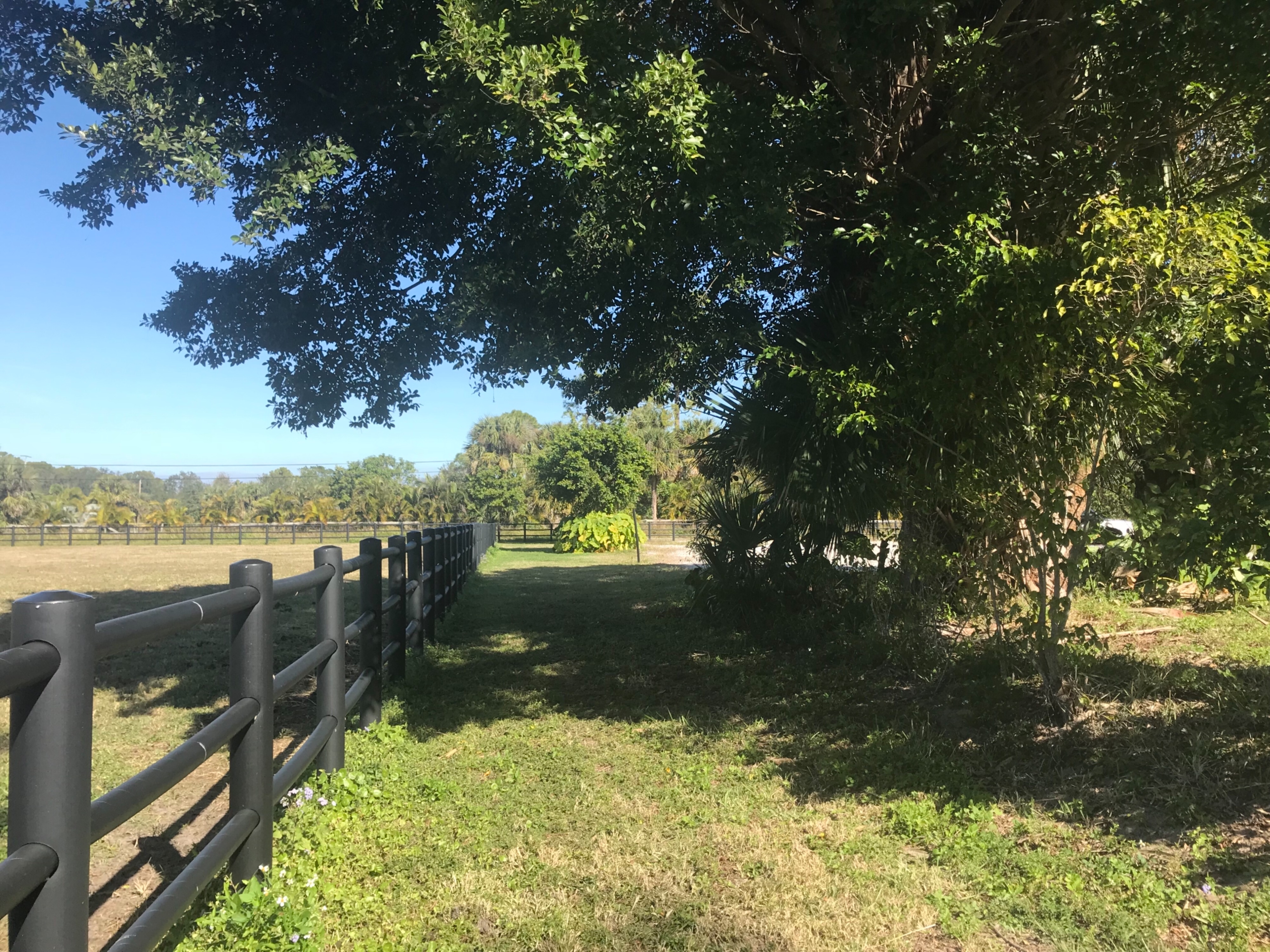 Equestrian Retreat In Loxahatchee Groves Loxahatchee Fl