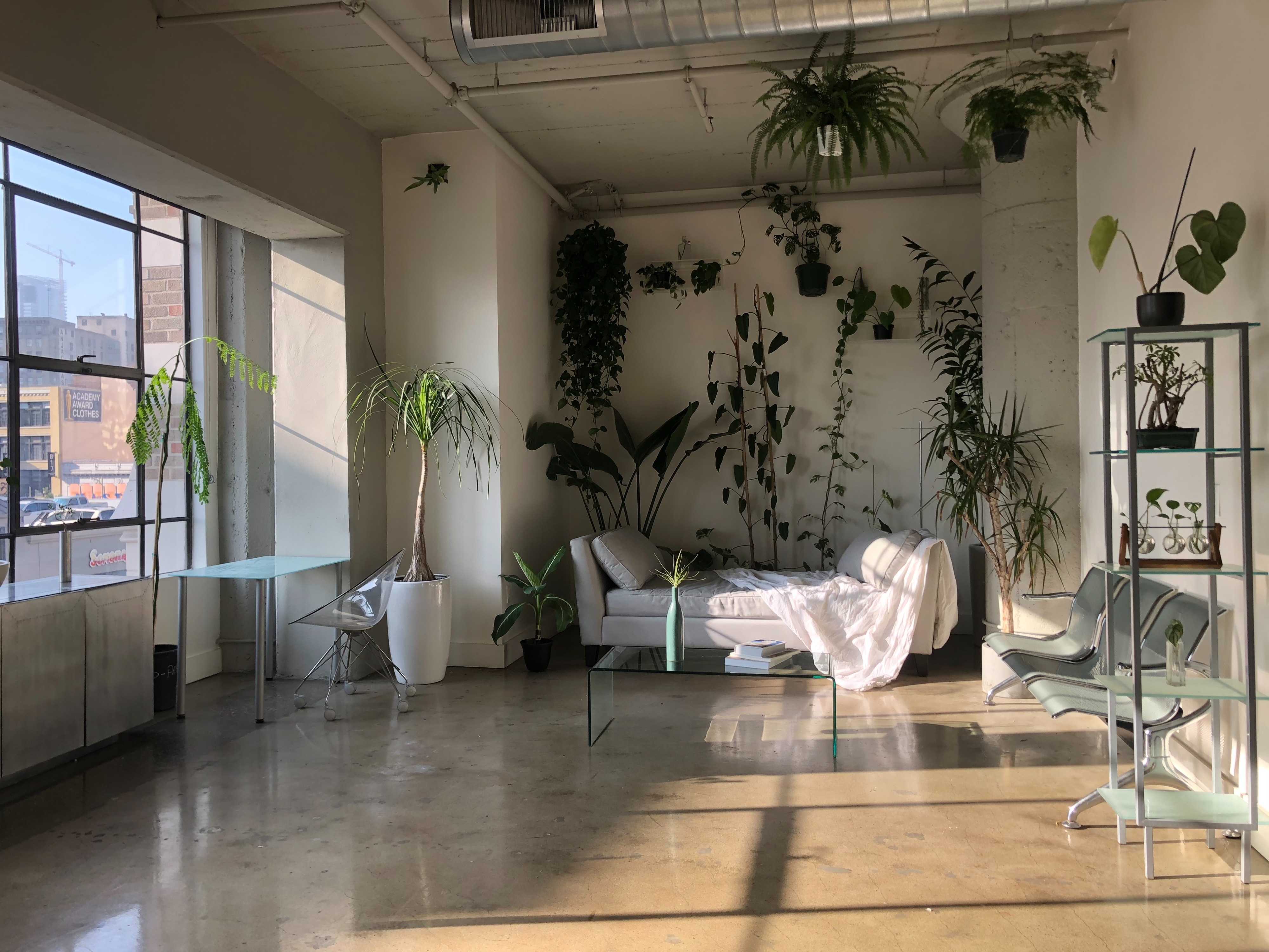 A woman sits on a couch reading a magazine in a room adorned with plants.