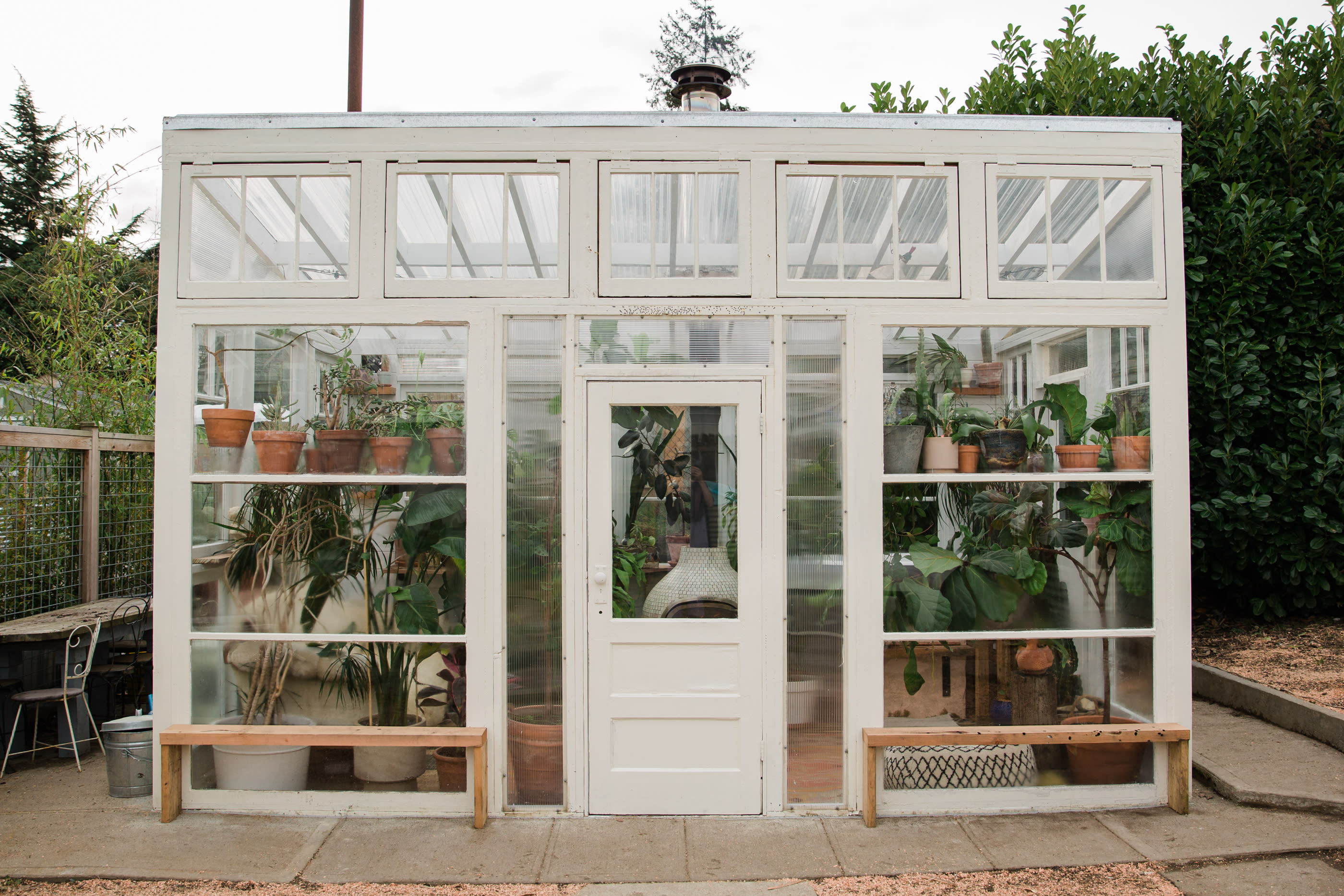 A couple shares a kiss on a cozy bench surrounded by lush greenery in a greenhouse.