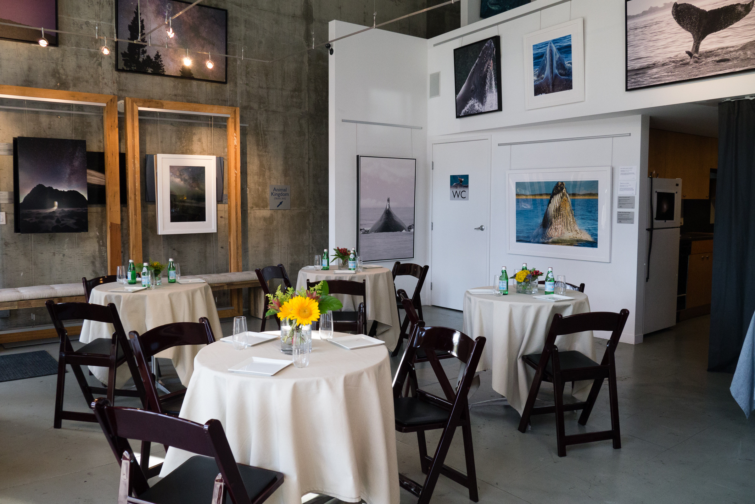 A group of six women gathers together, celebrating a birthday dinner in a well-lit setting.
