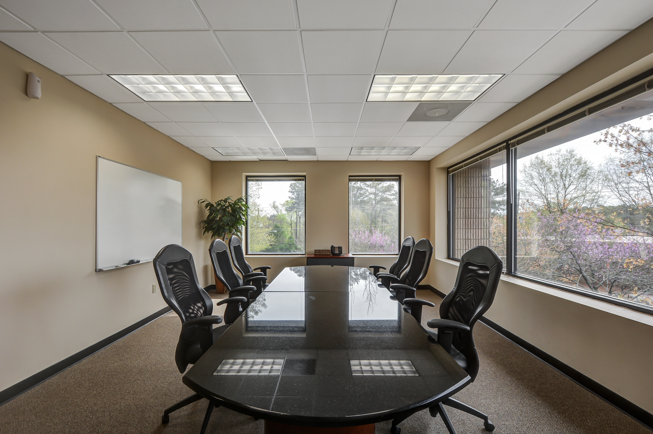 Suburb Professional Corporate Conference Room