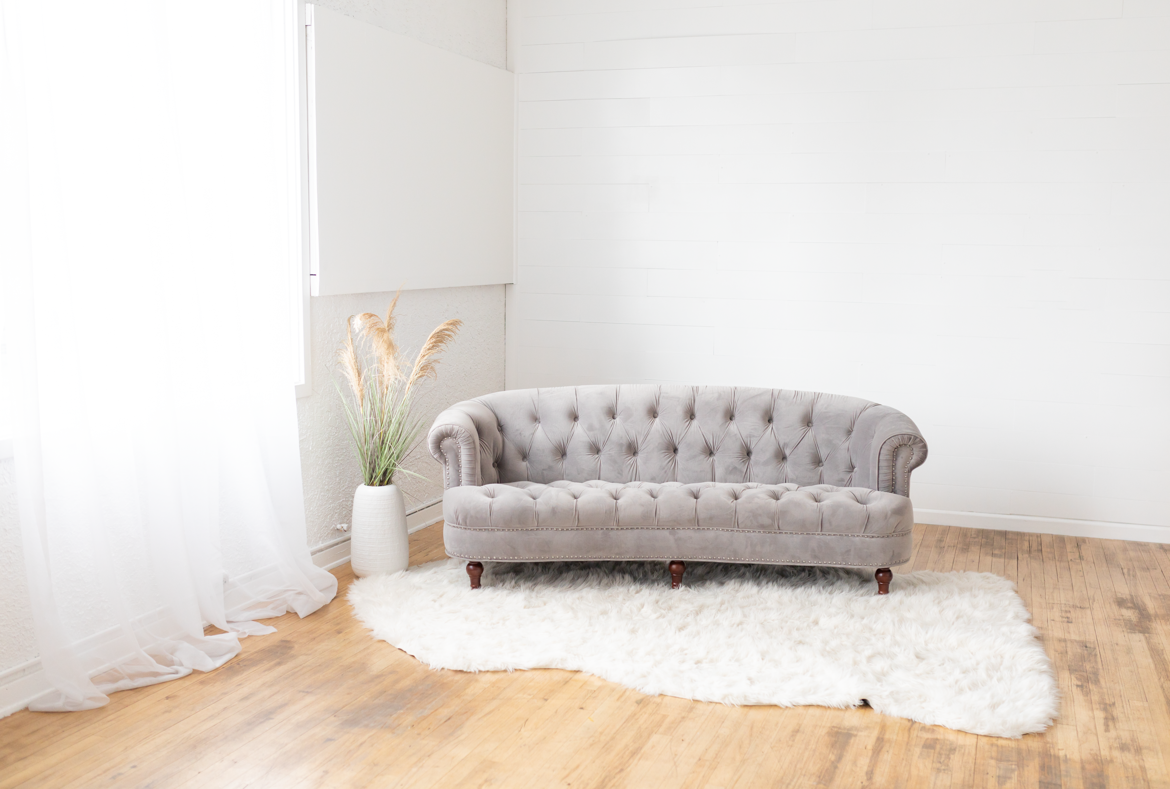 A cozy studio space features a plush couch, a decorative chair, and potted plants on hardwood floors, illuminated by natural light.