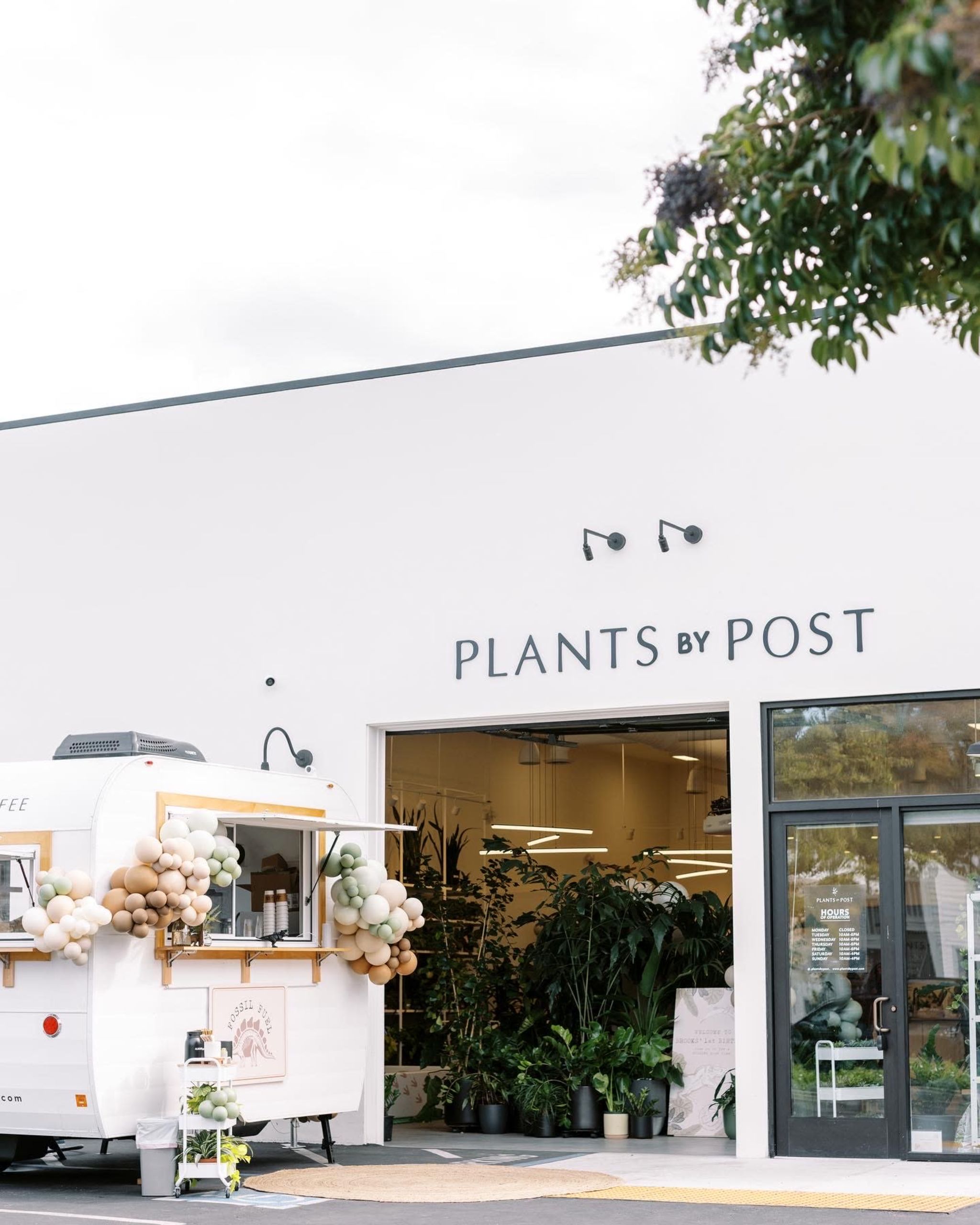 Shop & Send Plants By Post