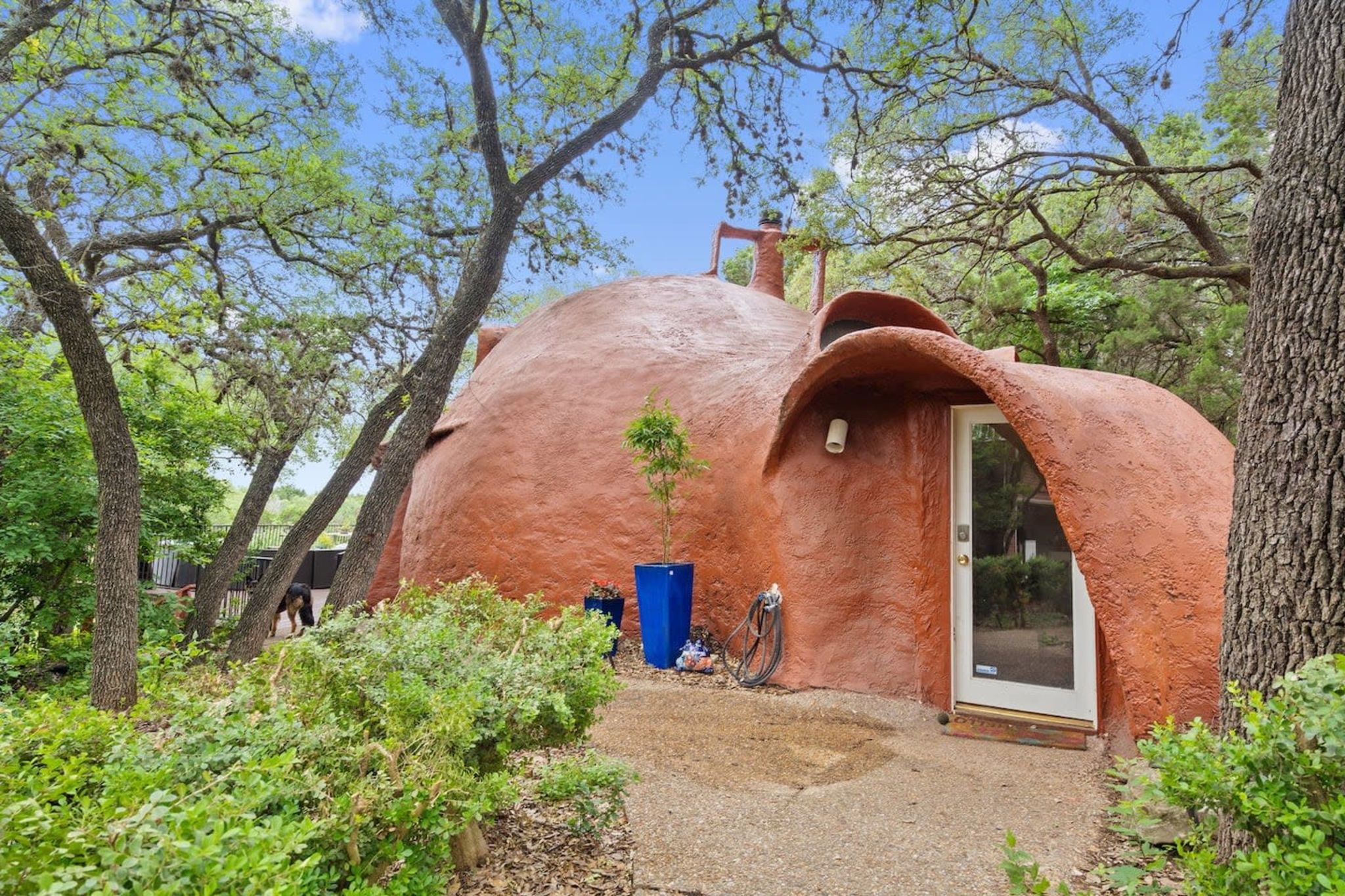 The Cob Cat House that Community Built - Shareable