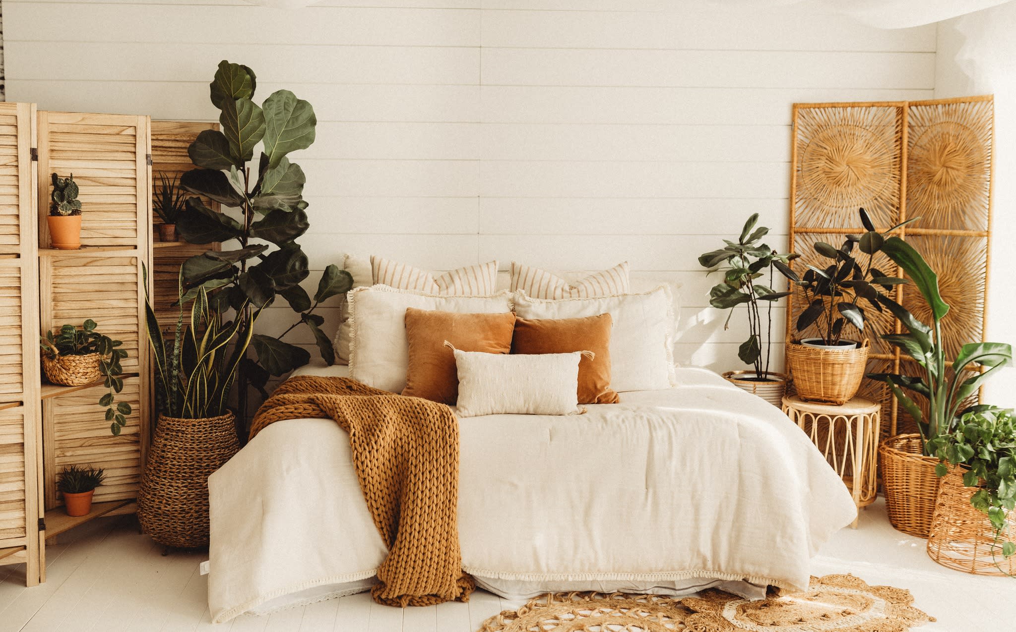 Three children pose together for a photoshoot on a cozy rug surrounded by plants and decorative elements.