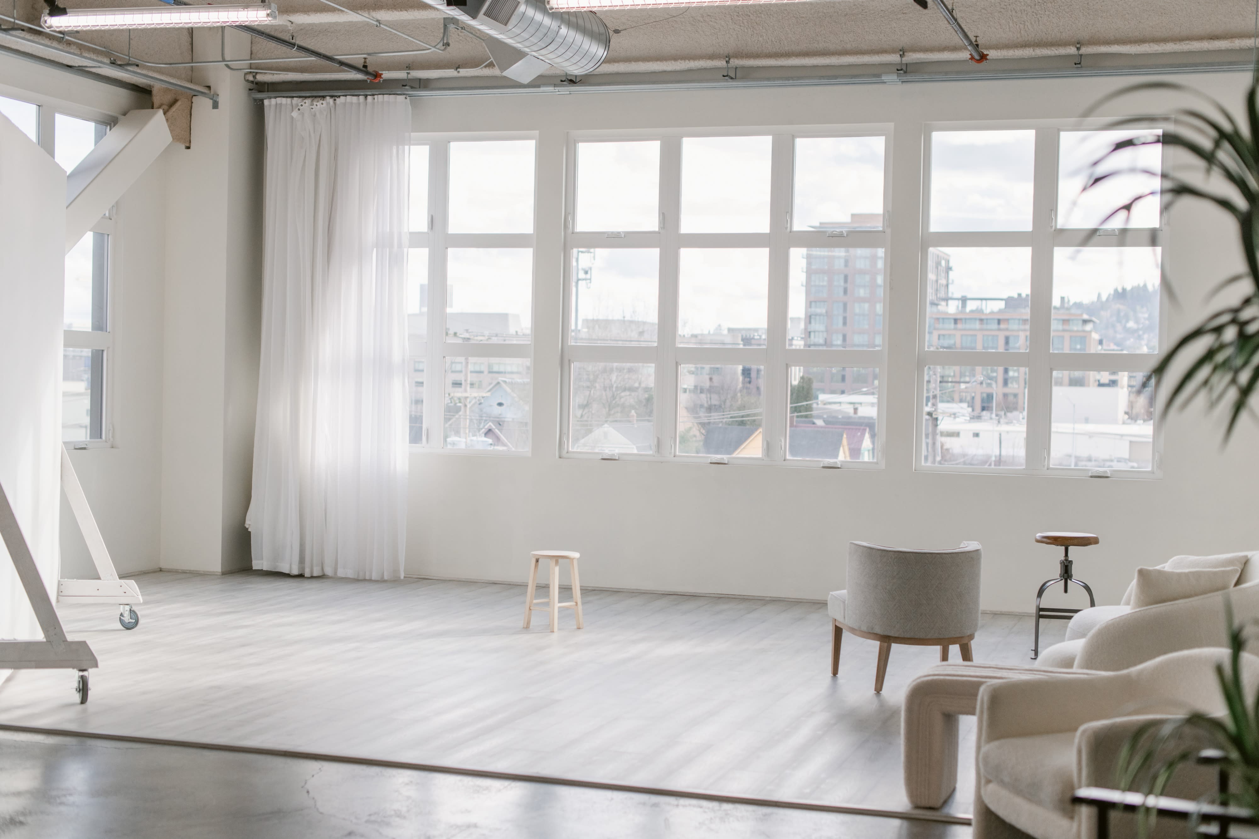 Two dogs wearing patterned bandanas pose indoors in a sunlit space with large windows.