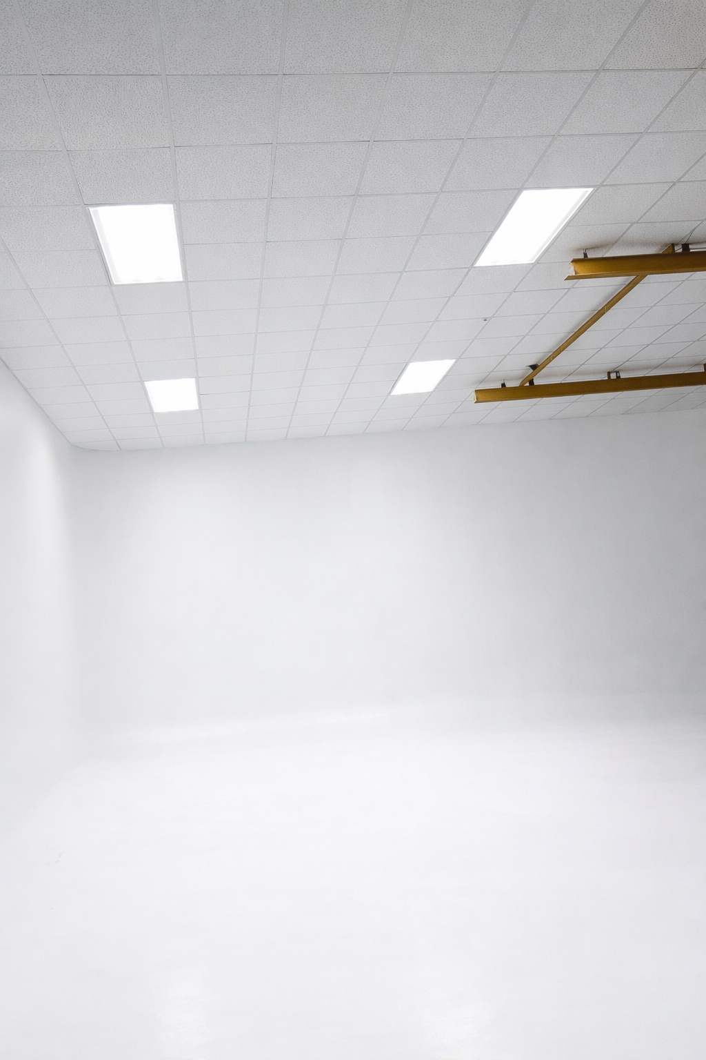 A band performs in a studio with a white backdrop, featuring a guitarist singing, a bassist, and a drummer.