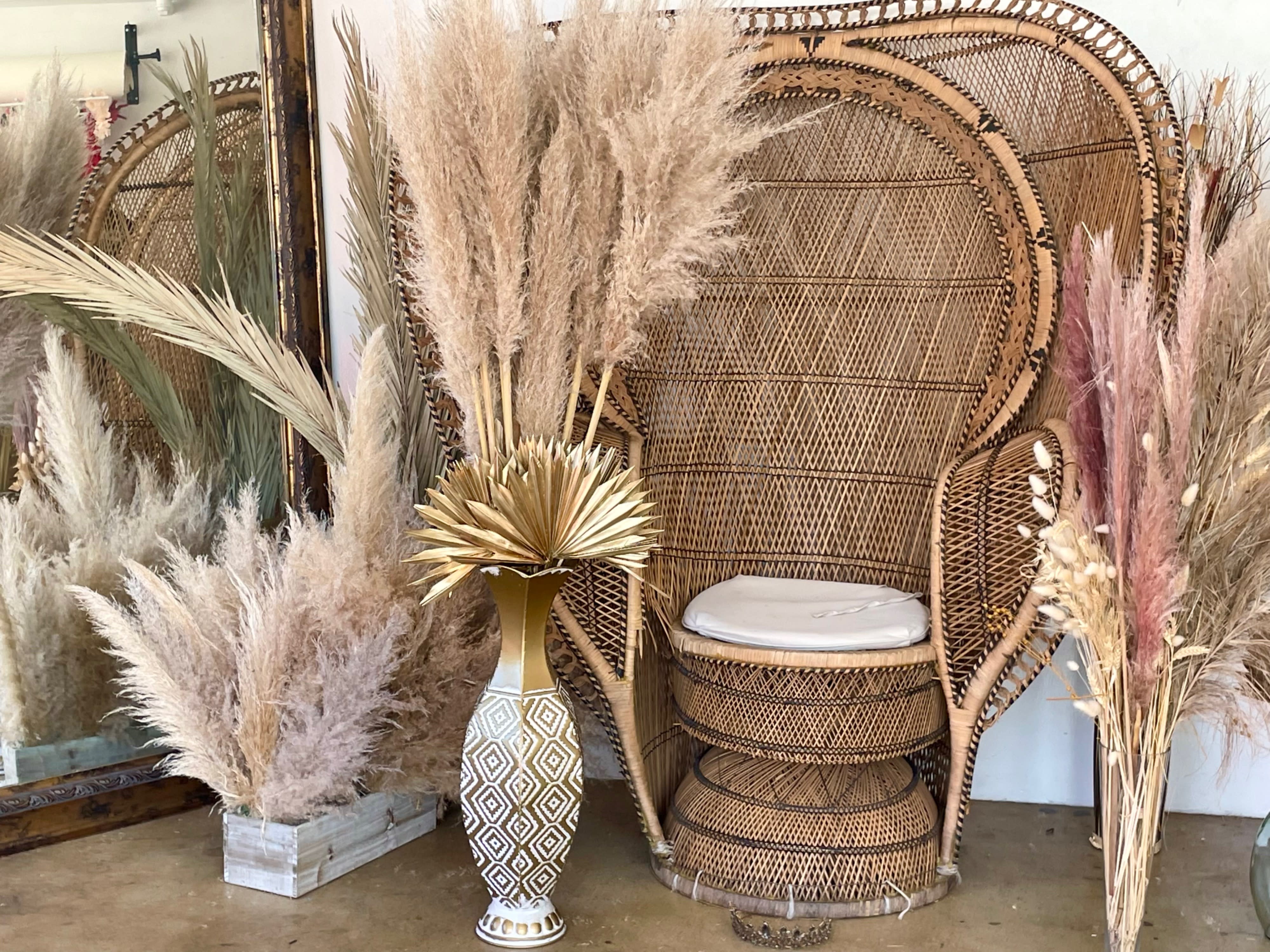 A model poses in a burgundy outfit on a chair surrounded by decorative dried plants against a blue backdrop.