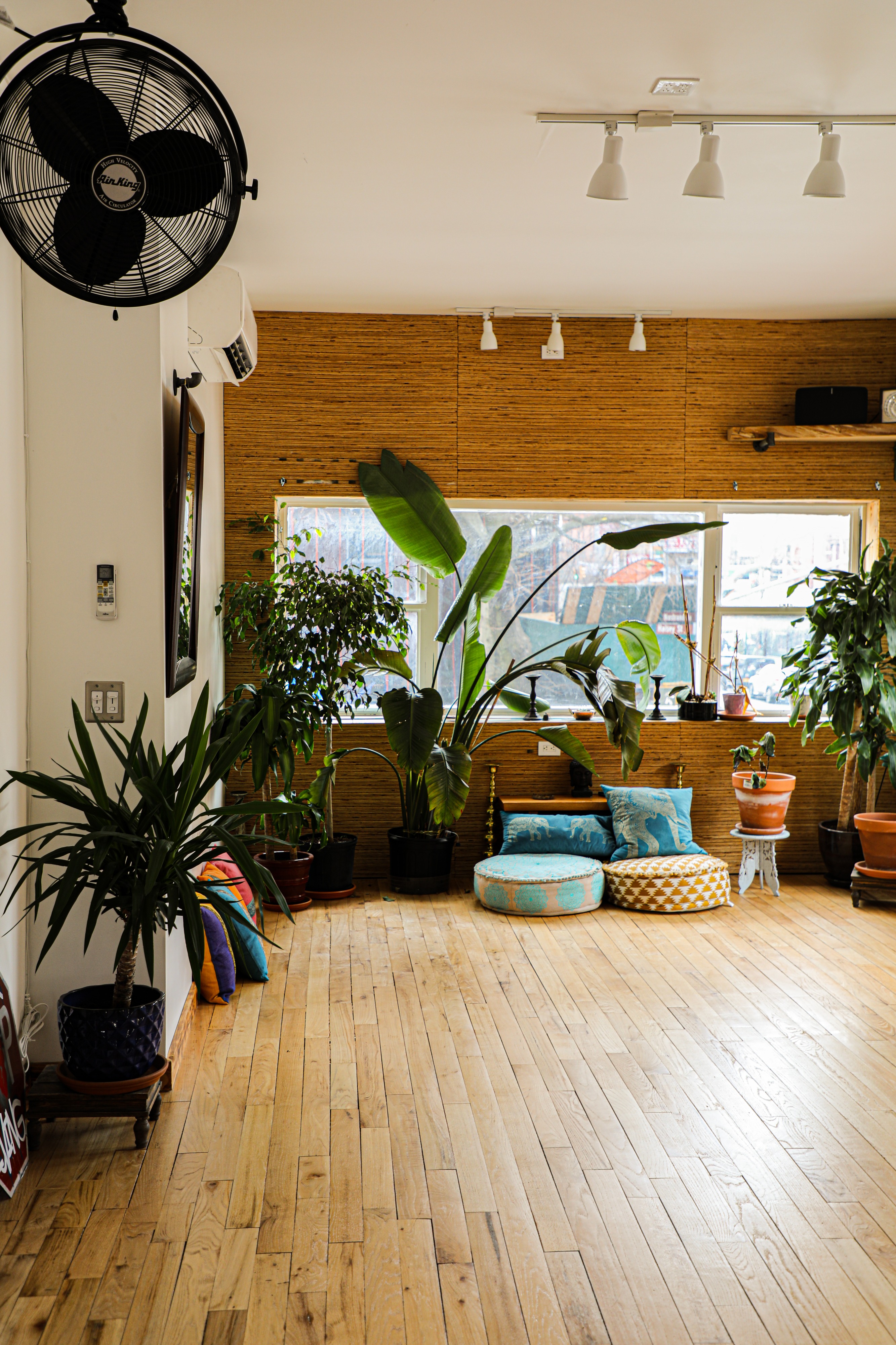A serene room is arranged for a sound healing event, featuring crystal singing bowls, plants, and a central meditation space.