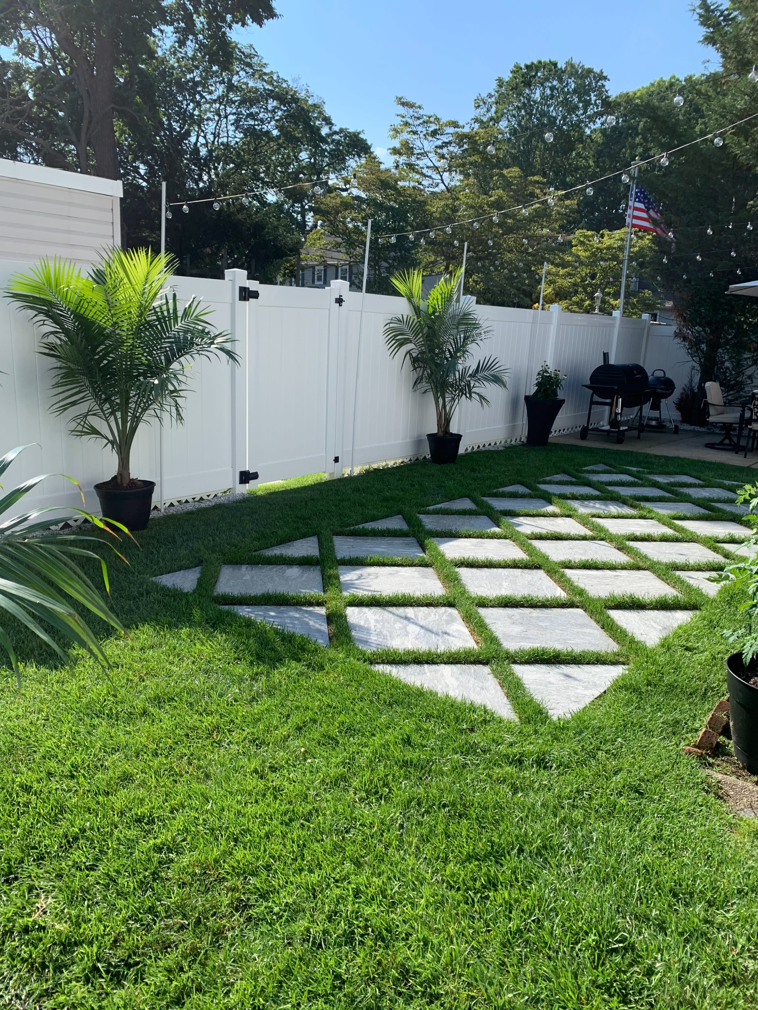 tanam rumput karpet