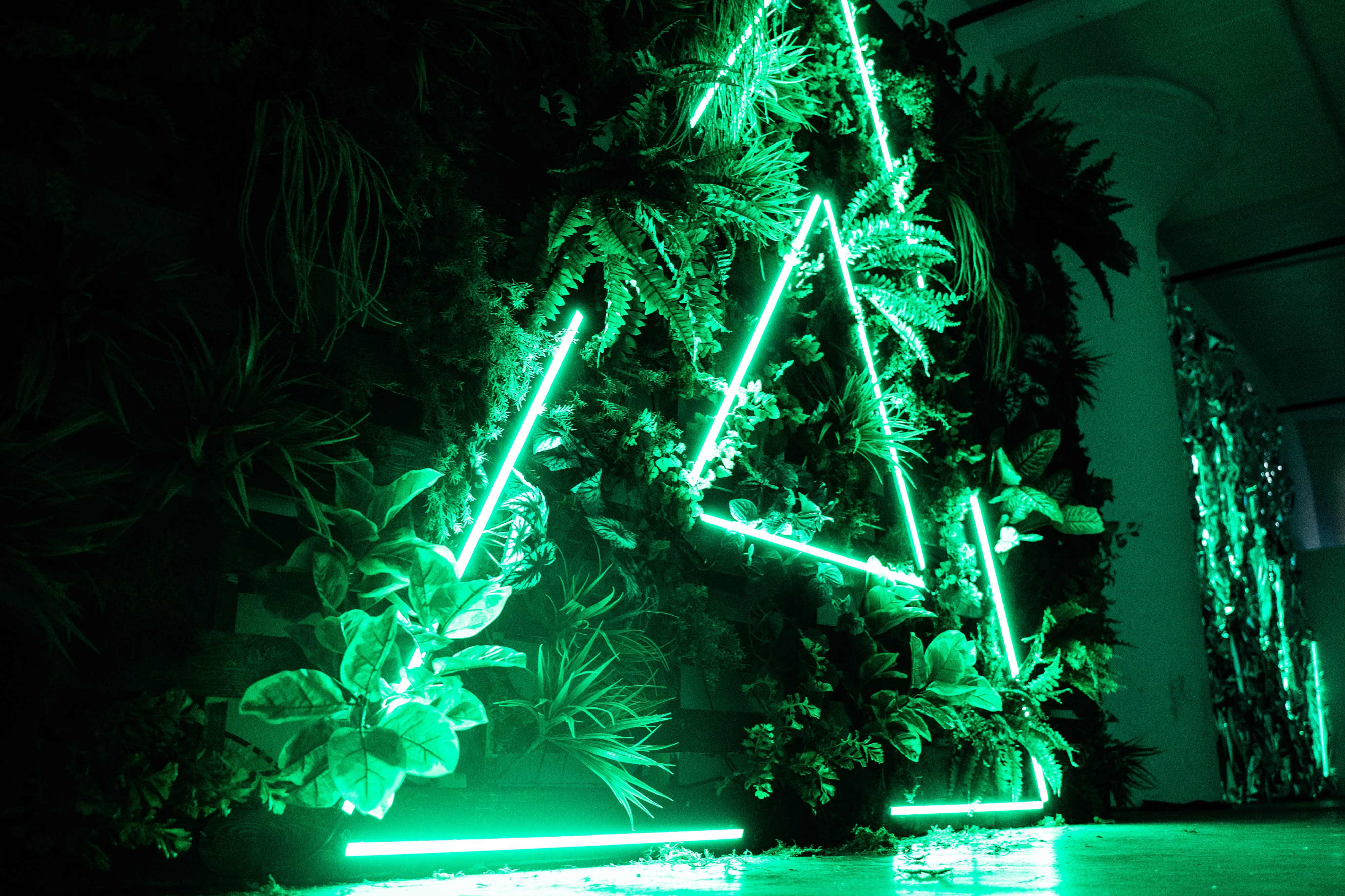 A person poses in front of a vibrant green neon triangle backdrop adorned with various plants during a video shoot.