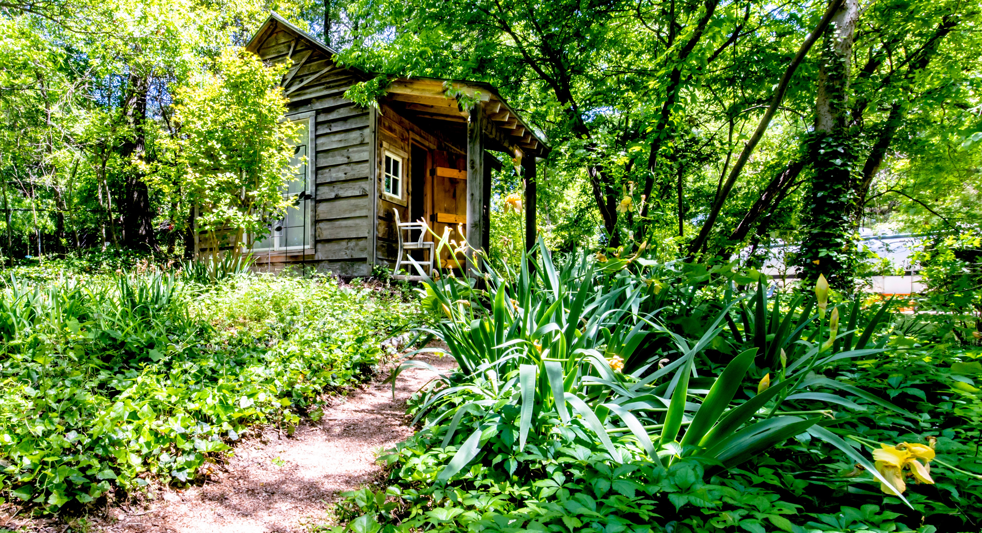 A woman in a white dress poses on a wooden chair next to a tree stump, while a child walks away from the rustic cabin.