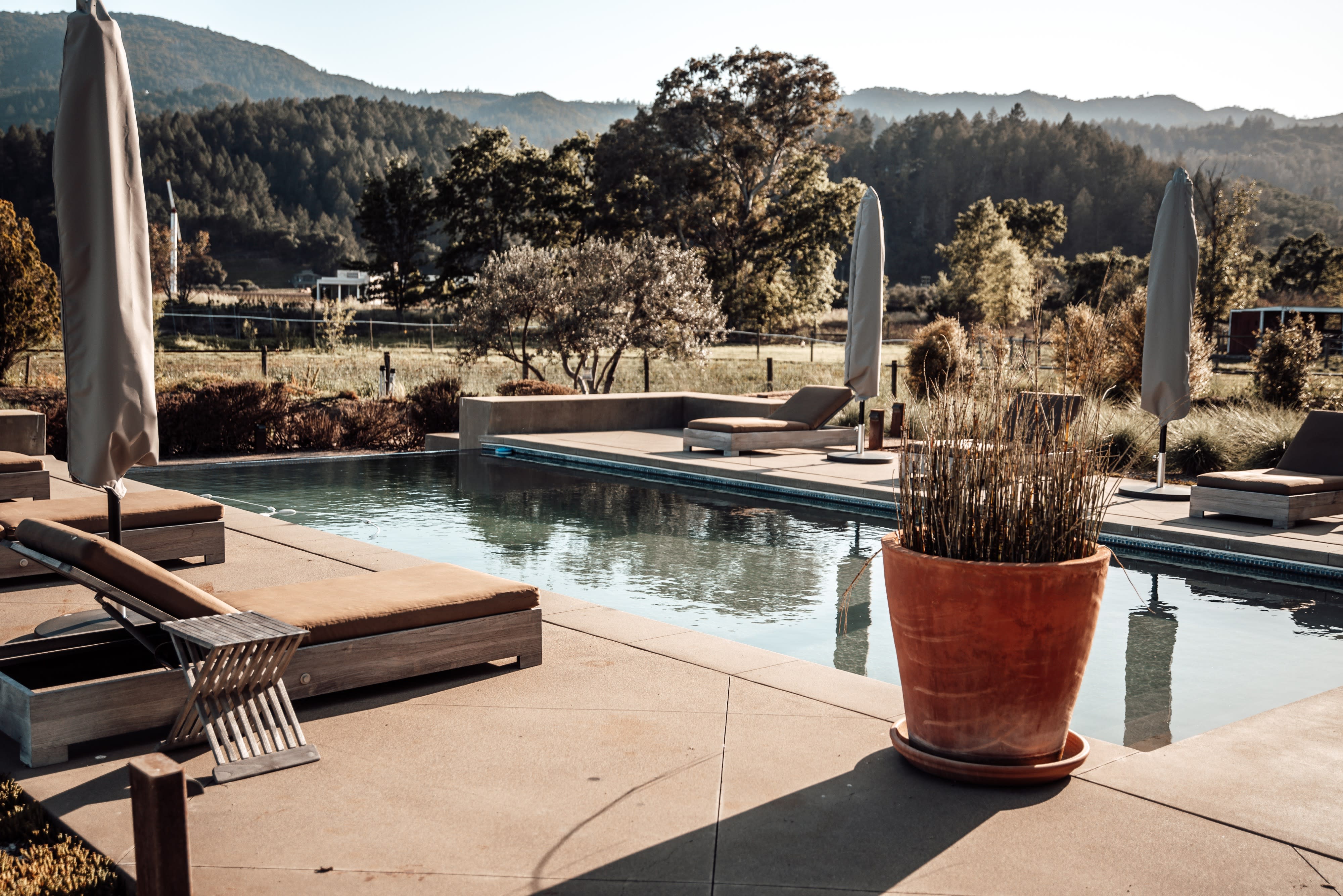 The photo depicts a serene poolside scene with lounge chairs and large umbrellas set against a backdrop of rolling hills and vineyards.
