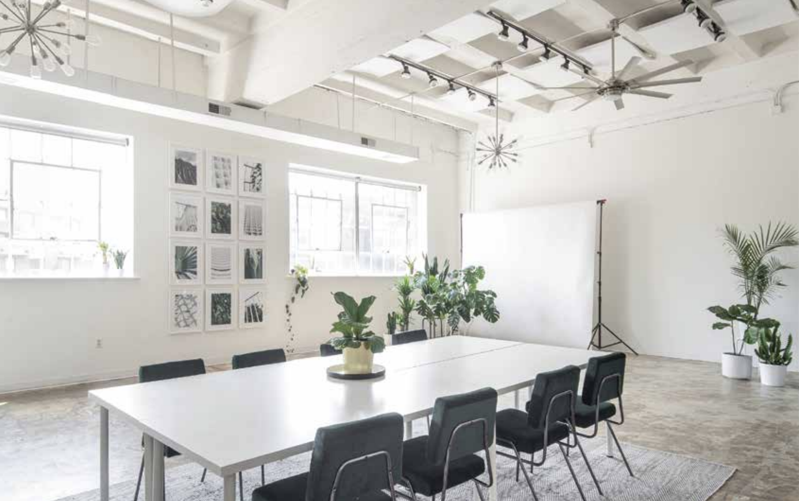 Two women engage in a conversation while sitting on chairs in a light-filled room adorned with plant life and framed photographs.