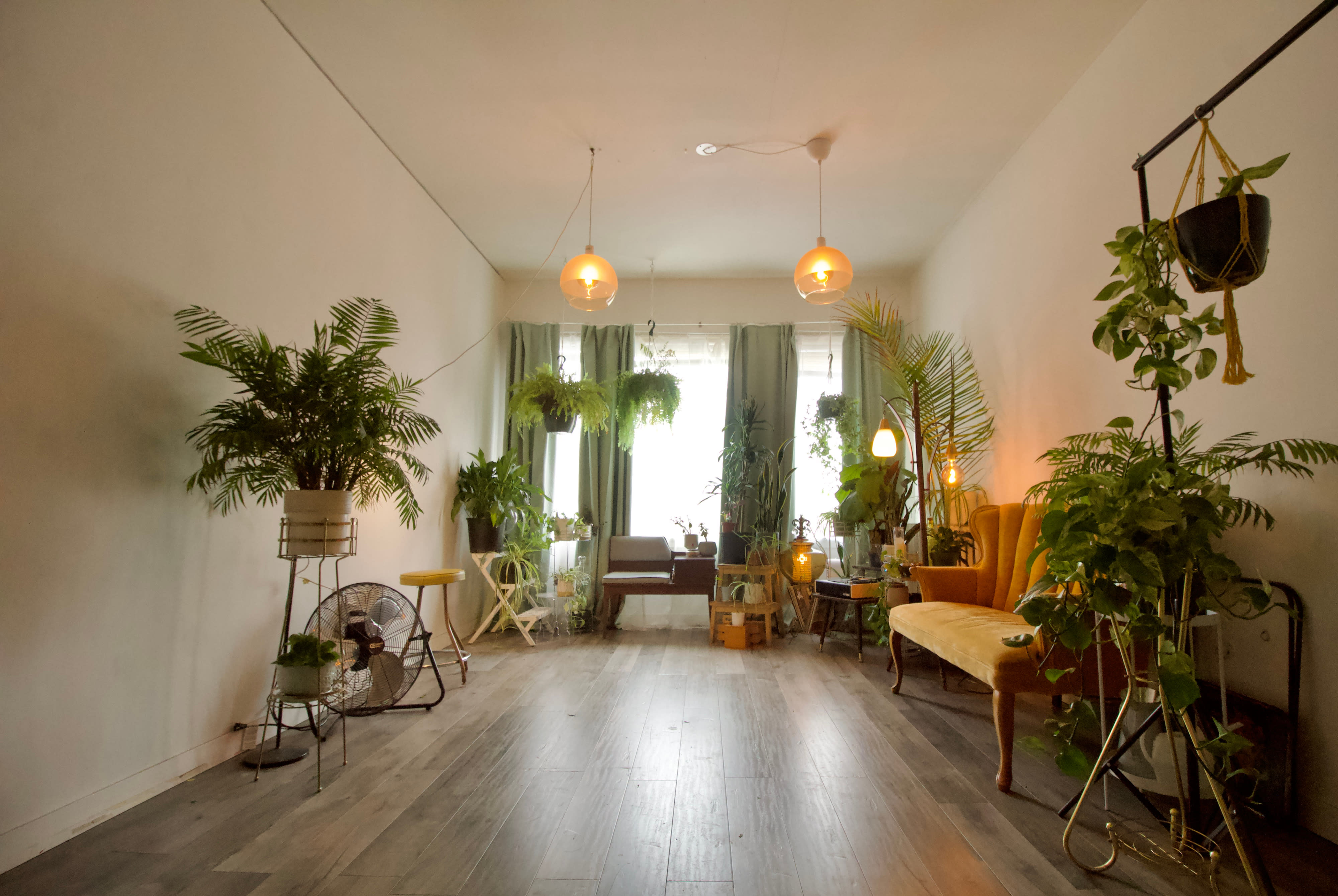 A cinematographer films two women on a couch during a music video shoot in a room filled with plants and blue lighting.