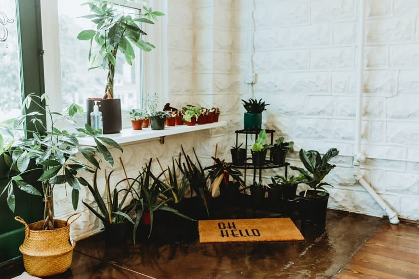 Guests gather in a brightly lit room decorated with plants, enjoying a baby shower while seated at wooden tables.