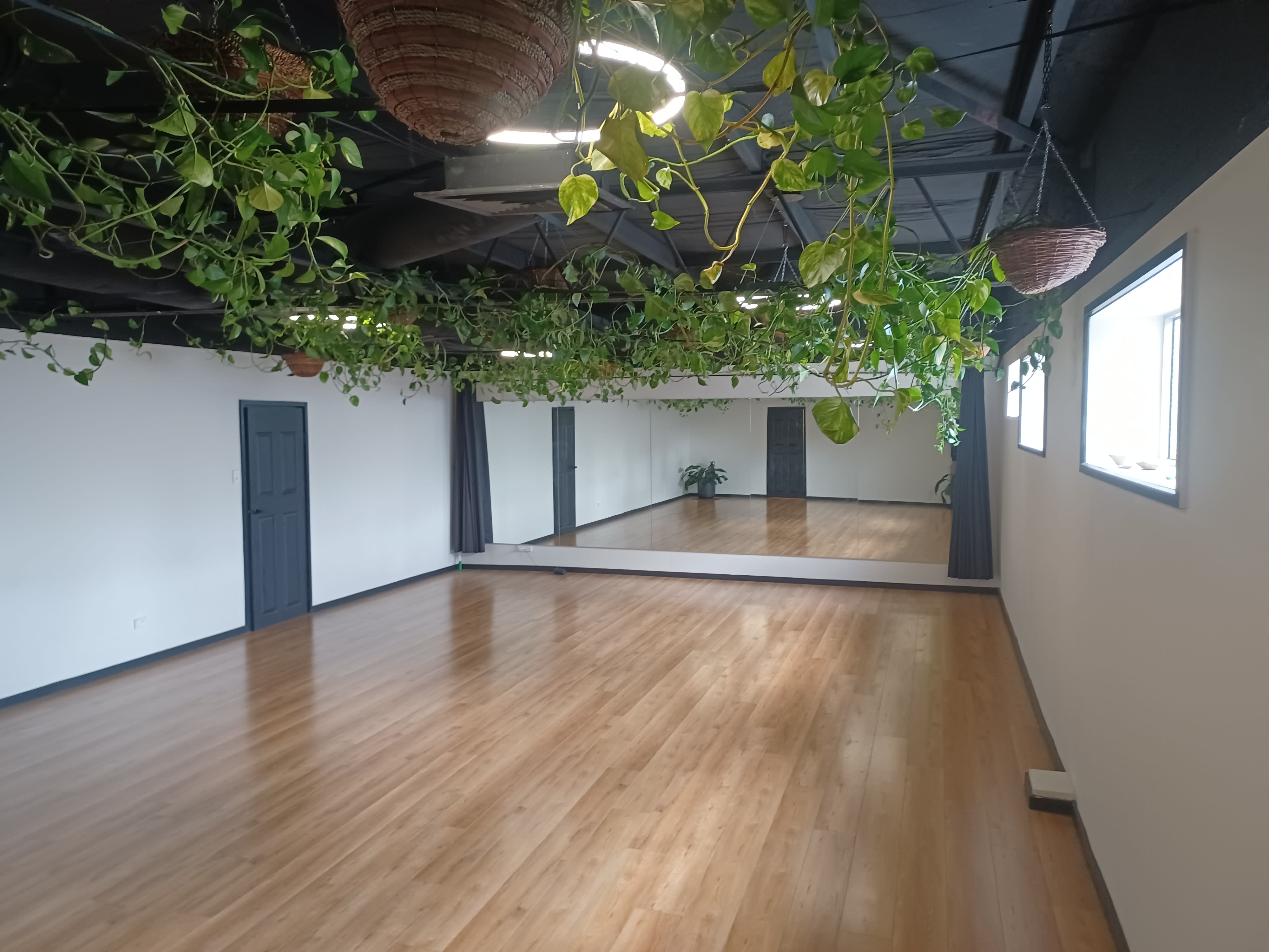 Participants in a yoga class perform various poses on mats in a spacious studio adorned with hanging plants.