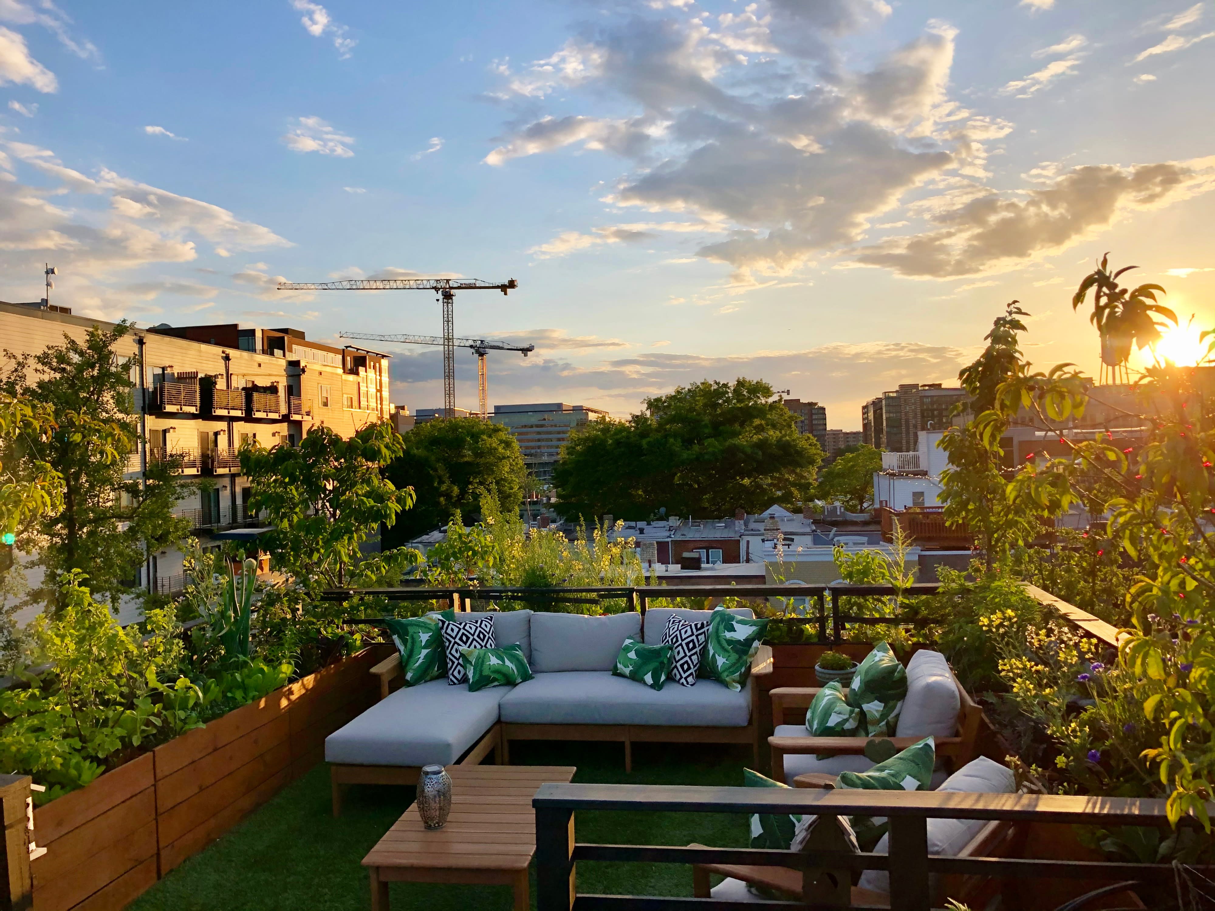 Union Market Rooftop Garden, washington, DC, Event