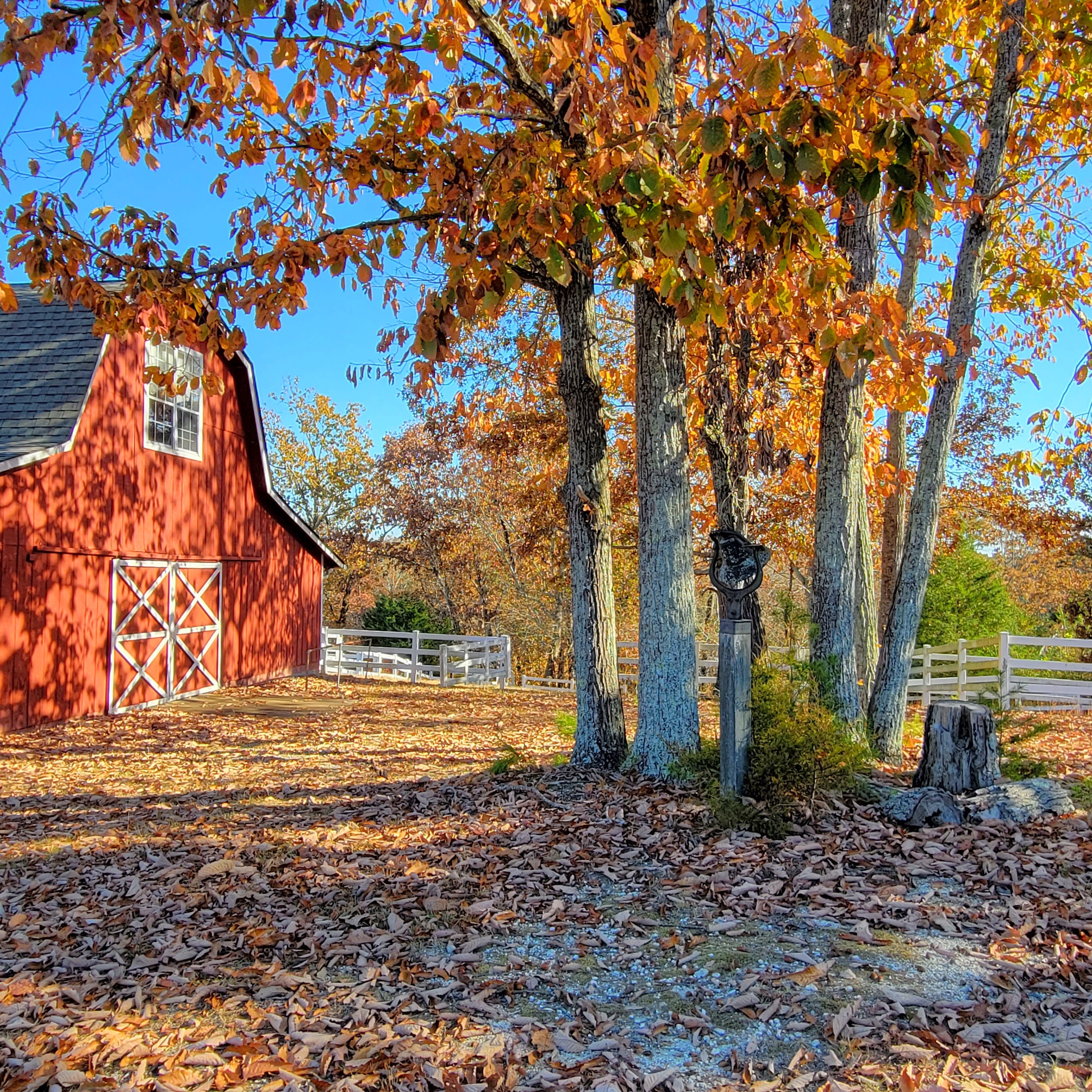 A family poses together outside in front of a red barn, holding hands with their toddler while surrounded by fallen leaves.