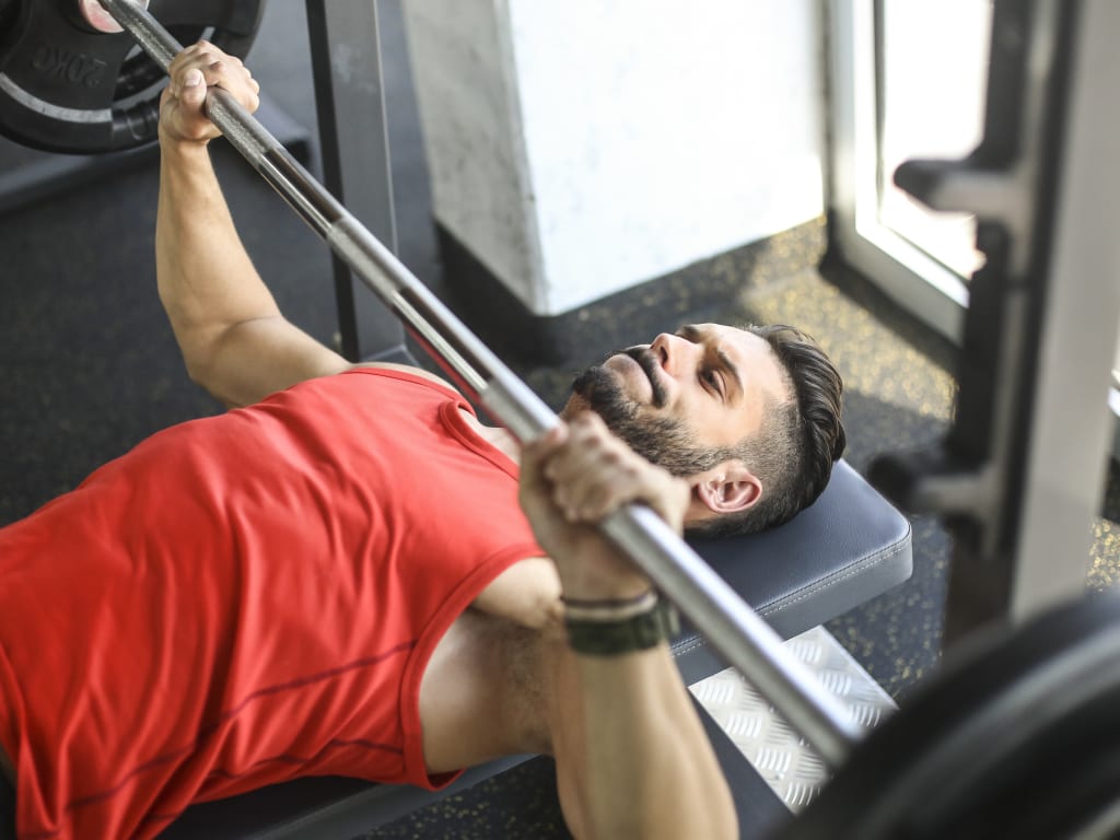 Best bench press benches sale