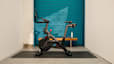 Peloton home gym