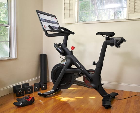 Peloton online classes free hotsell