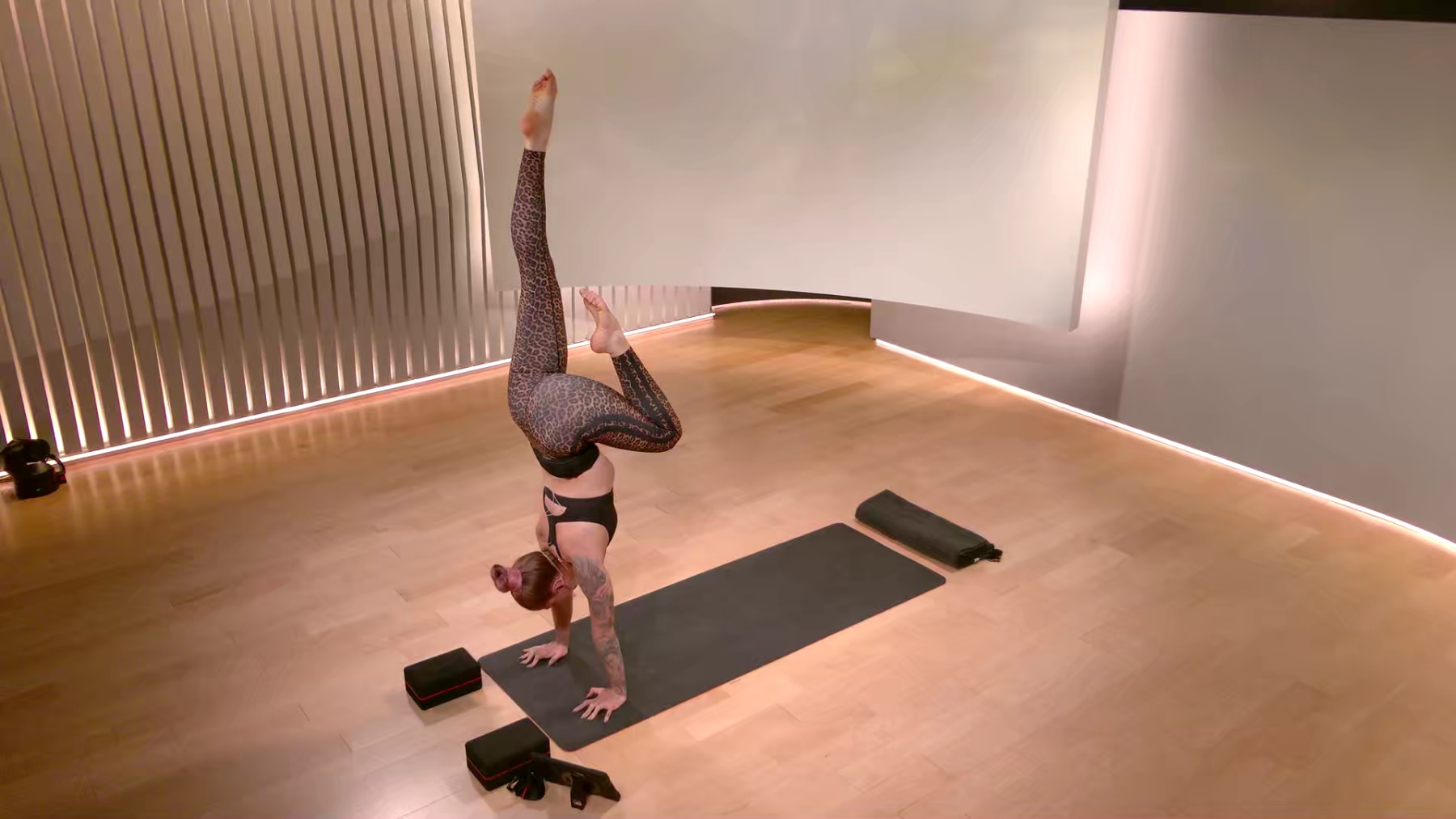 60 min Focus Flow: Arm Balances