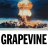 Grapevine