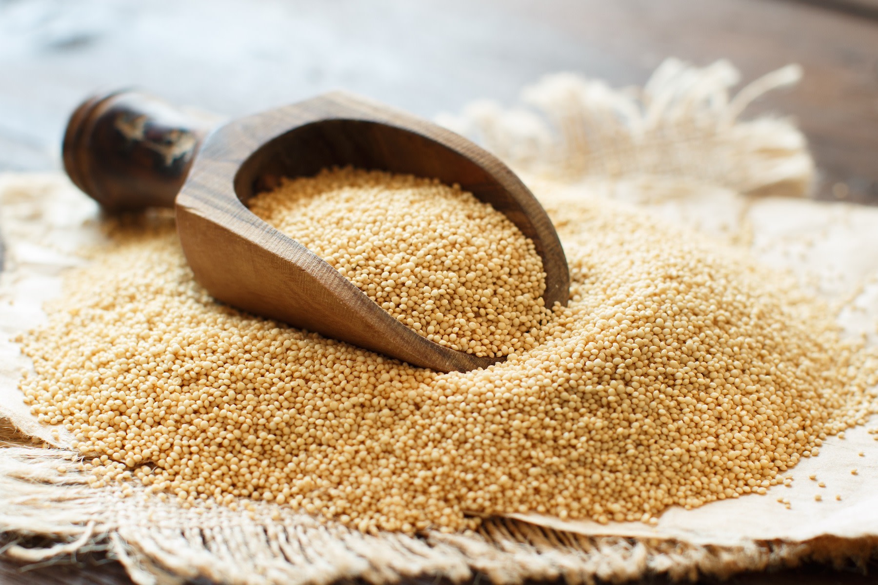 A wooden spoon of amaranth grain resting on a pile of more amaranth.