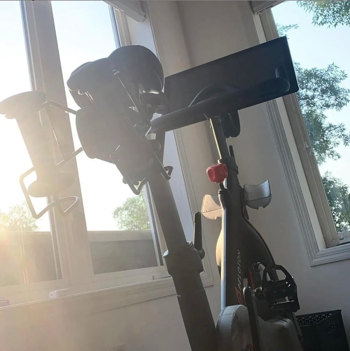 Peloton home gym