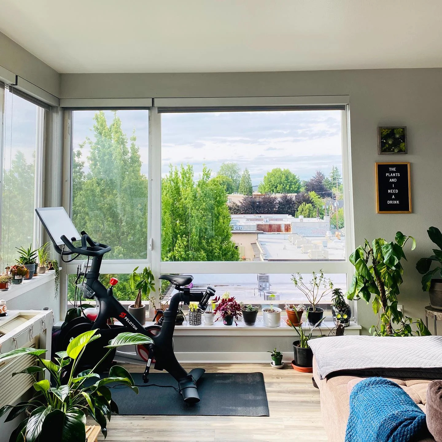 Peloton Bike: Elevate your home fitness experience