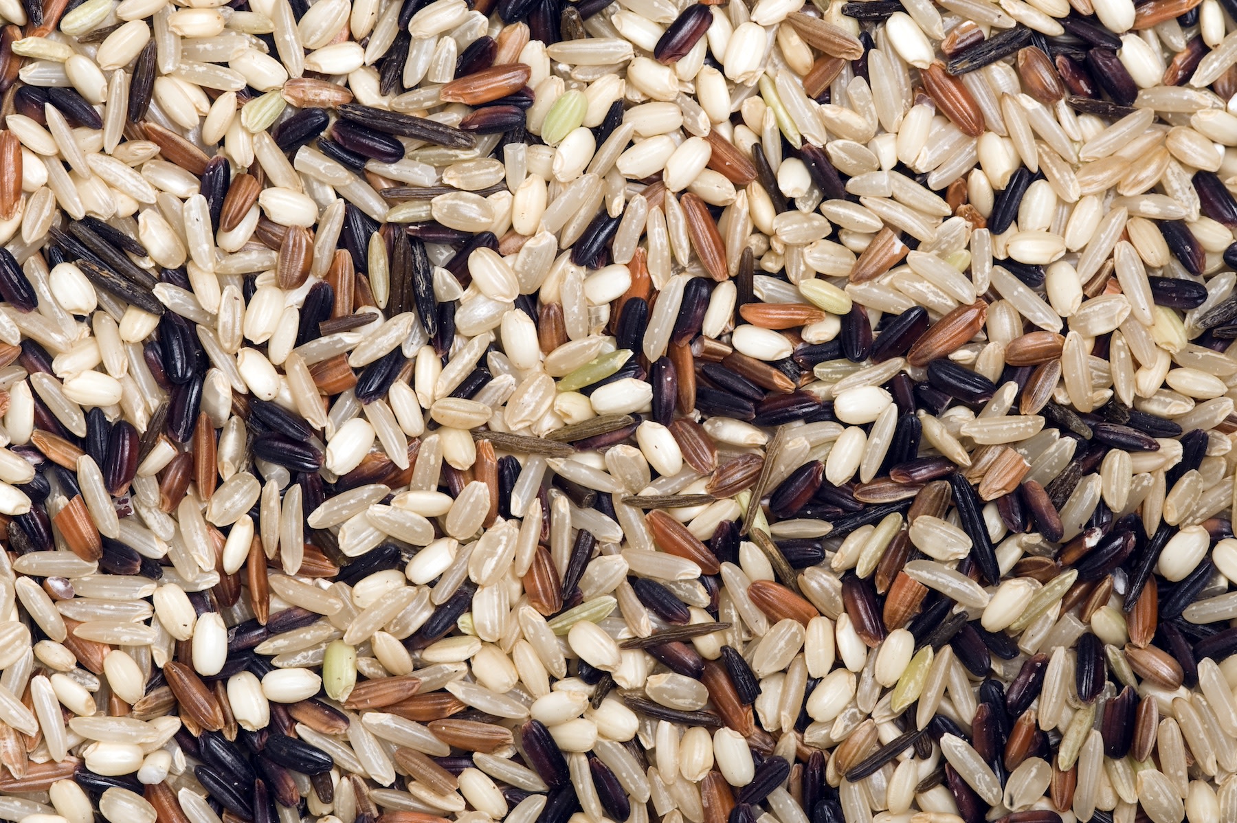 A close-up photo of a pile of wild rice.