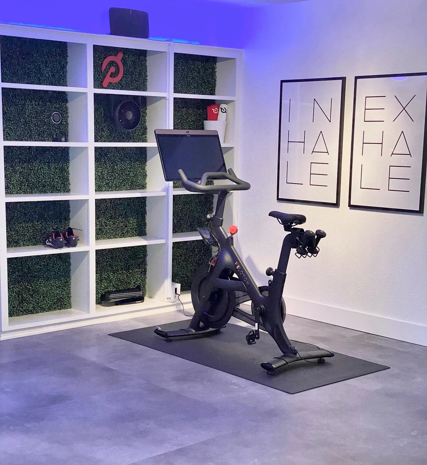 Peloton Bike: Elevate your home fitness experience