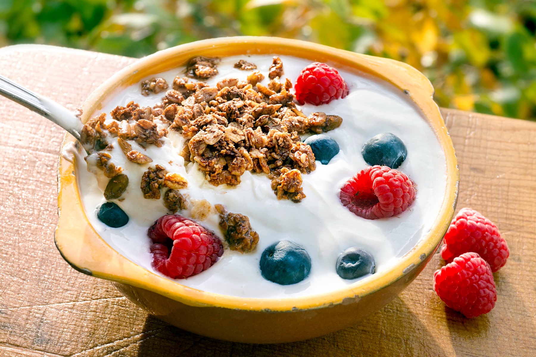 A bowl of Greek yogurt (a lean protein) in a bowl with granola and fruit.