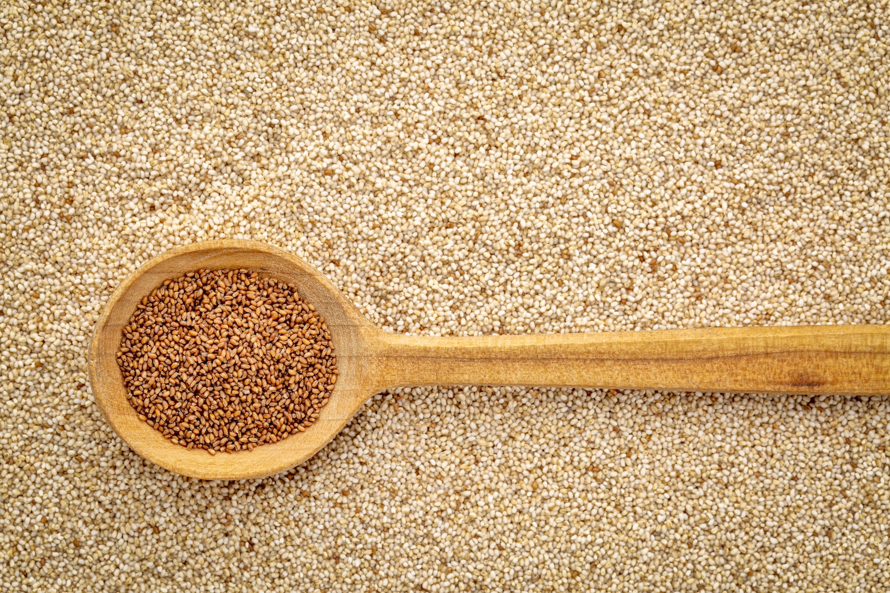 Teff grain in a spoon resting on a pile of more teff.