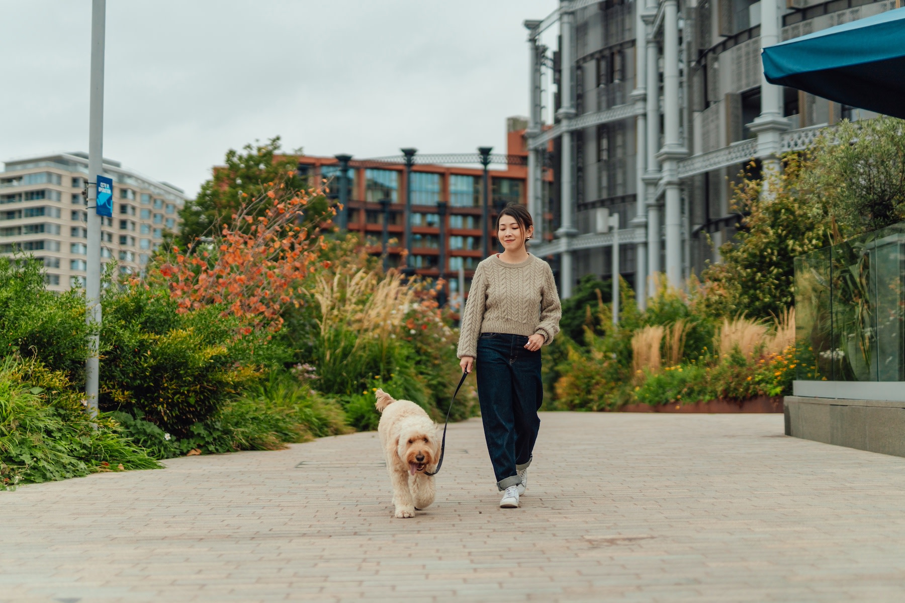 A woman walking her dog in a city park on her exercise rest day.