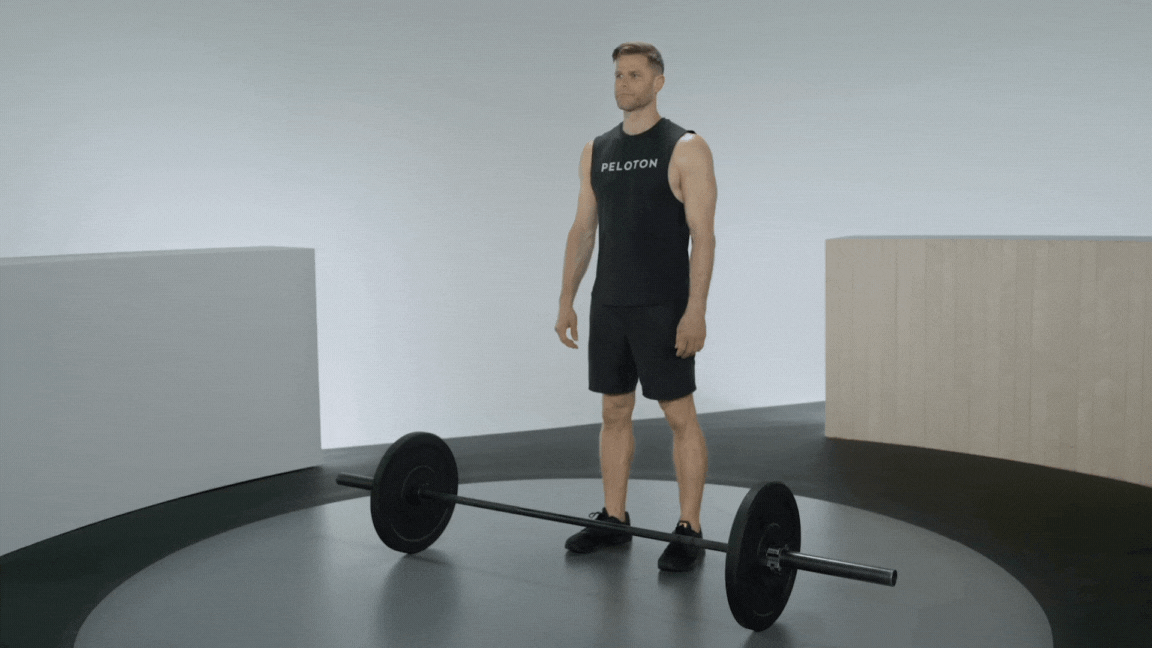 Barbell Bent Over Row