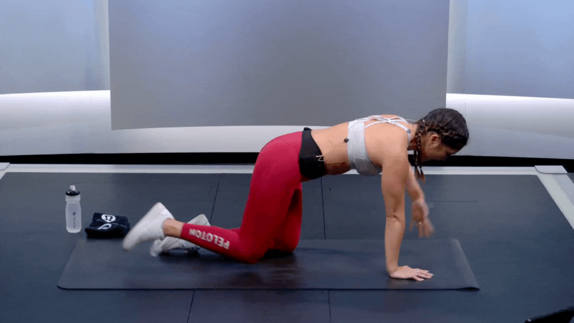 Emma Lovewell Bird-Dog GIF 