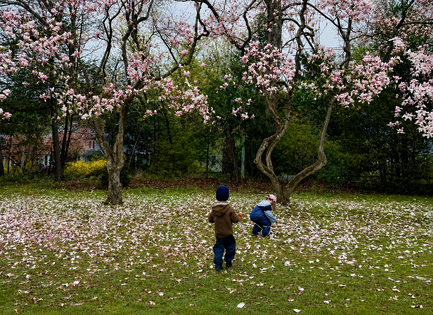 Nests - Community Circle - Spring 2027