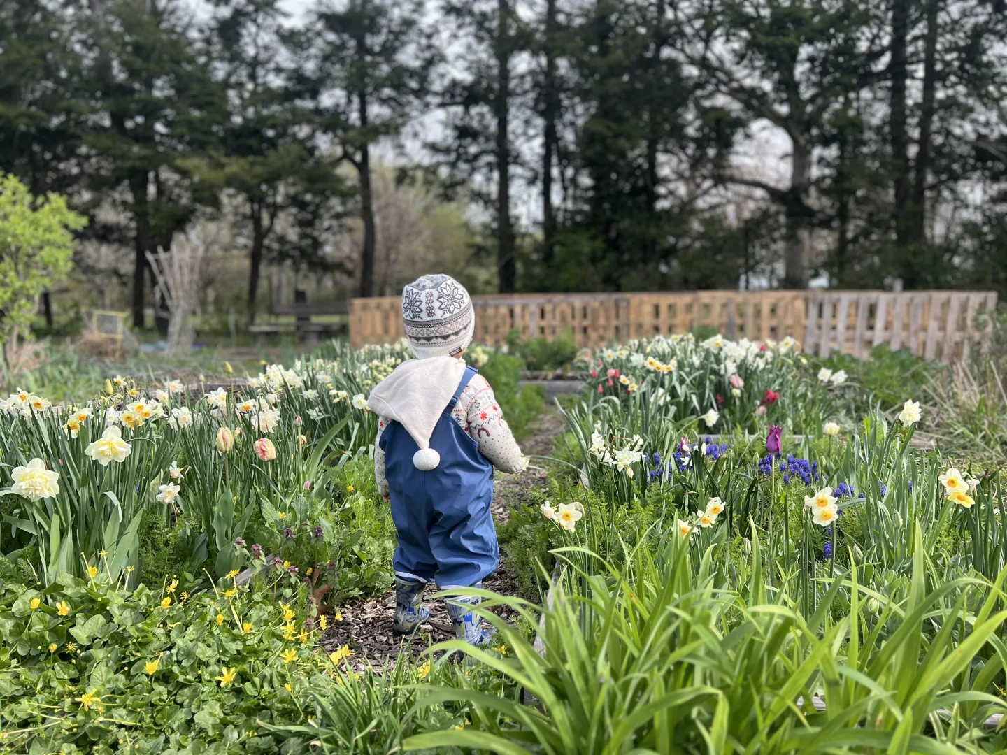 Nests - Community Circle - Spring 2027