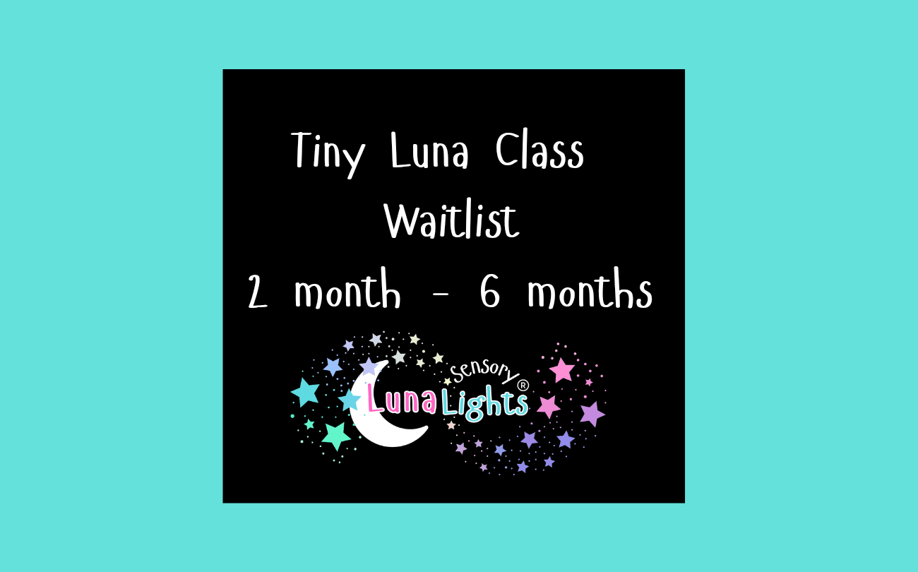 Tiny Luna Class 3m - 6m💻💙 ❄️ (Nov/ Dec) Winter Term Waitlist