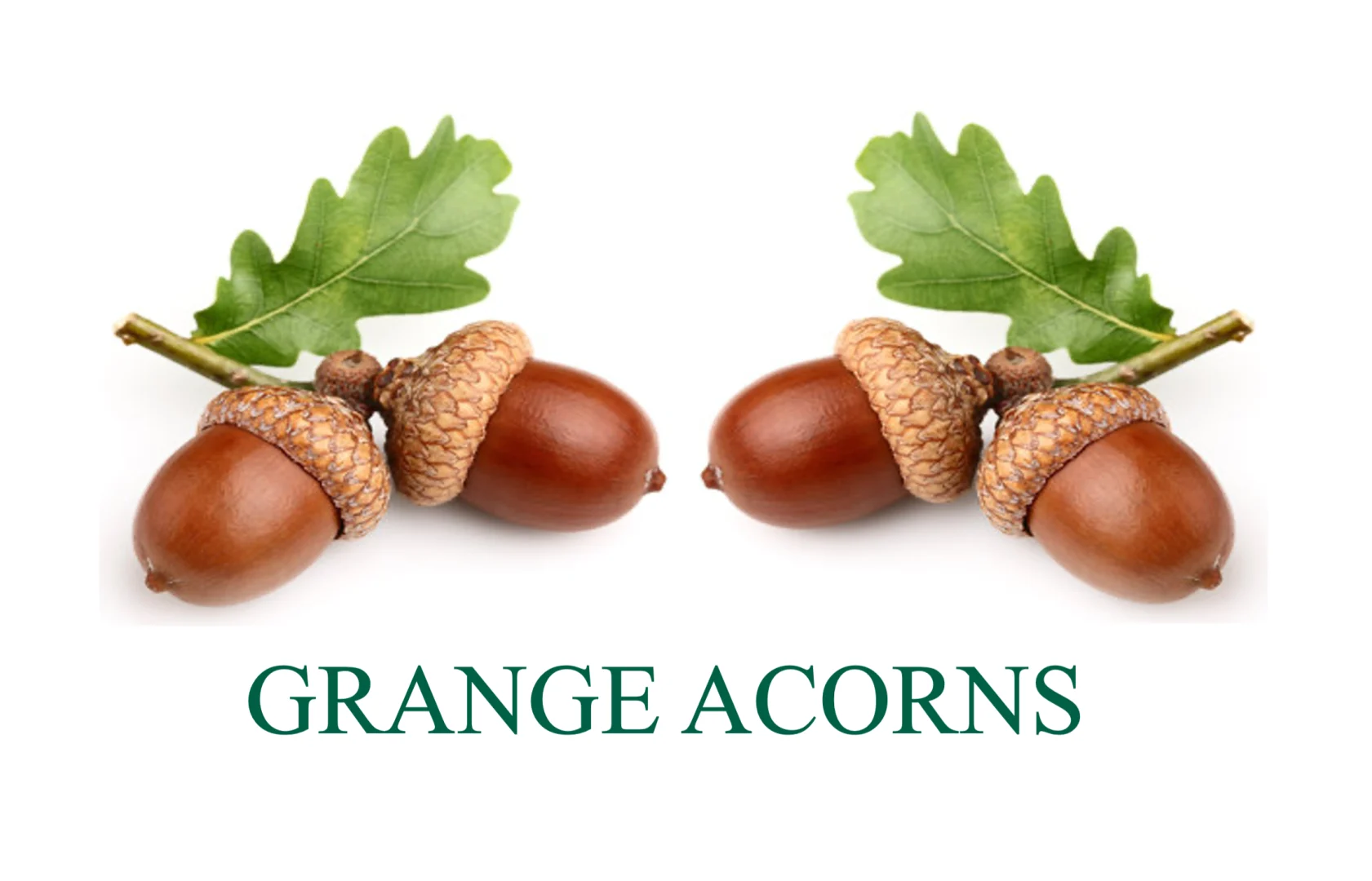 Grange Acorns Toddler Group