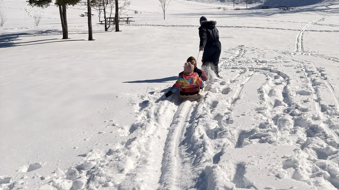 Nests - Community Circle - Winter 2026