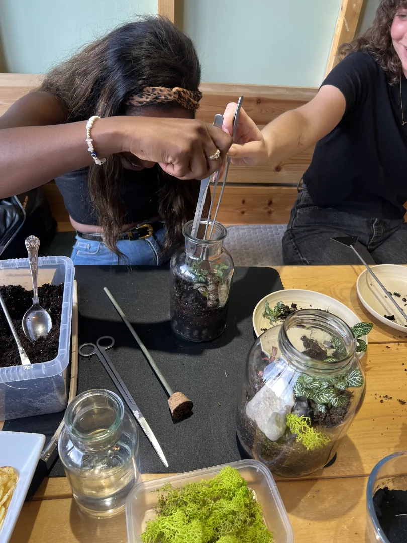 Terrarium Workshop At The Horniman Museum