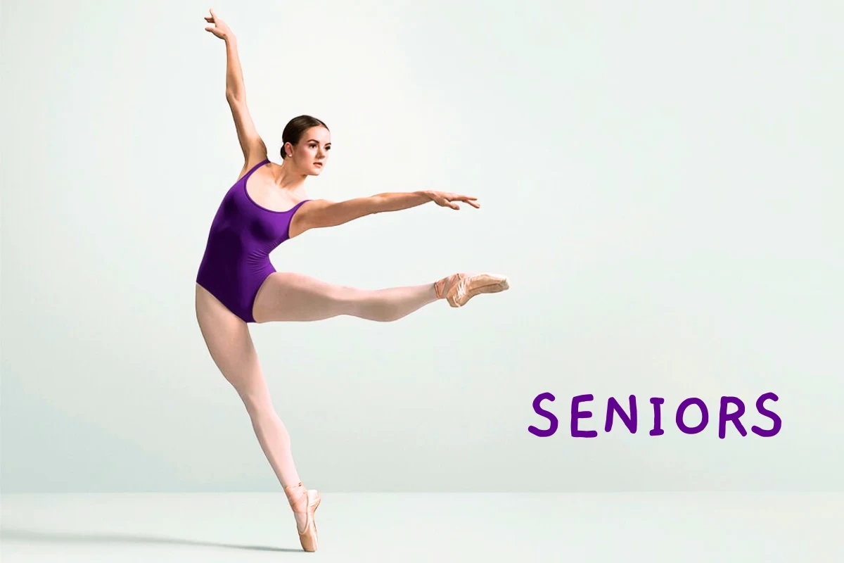 Ballet Technique Series with Lara Flannery – Seniors