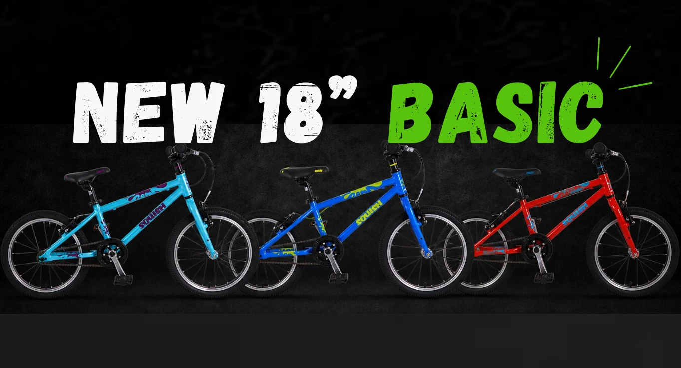 Subscription: NEW 18" Squish or equivalent BASIC